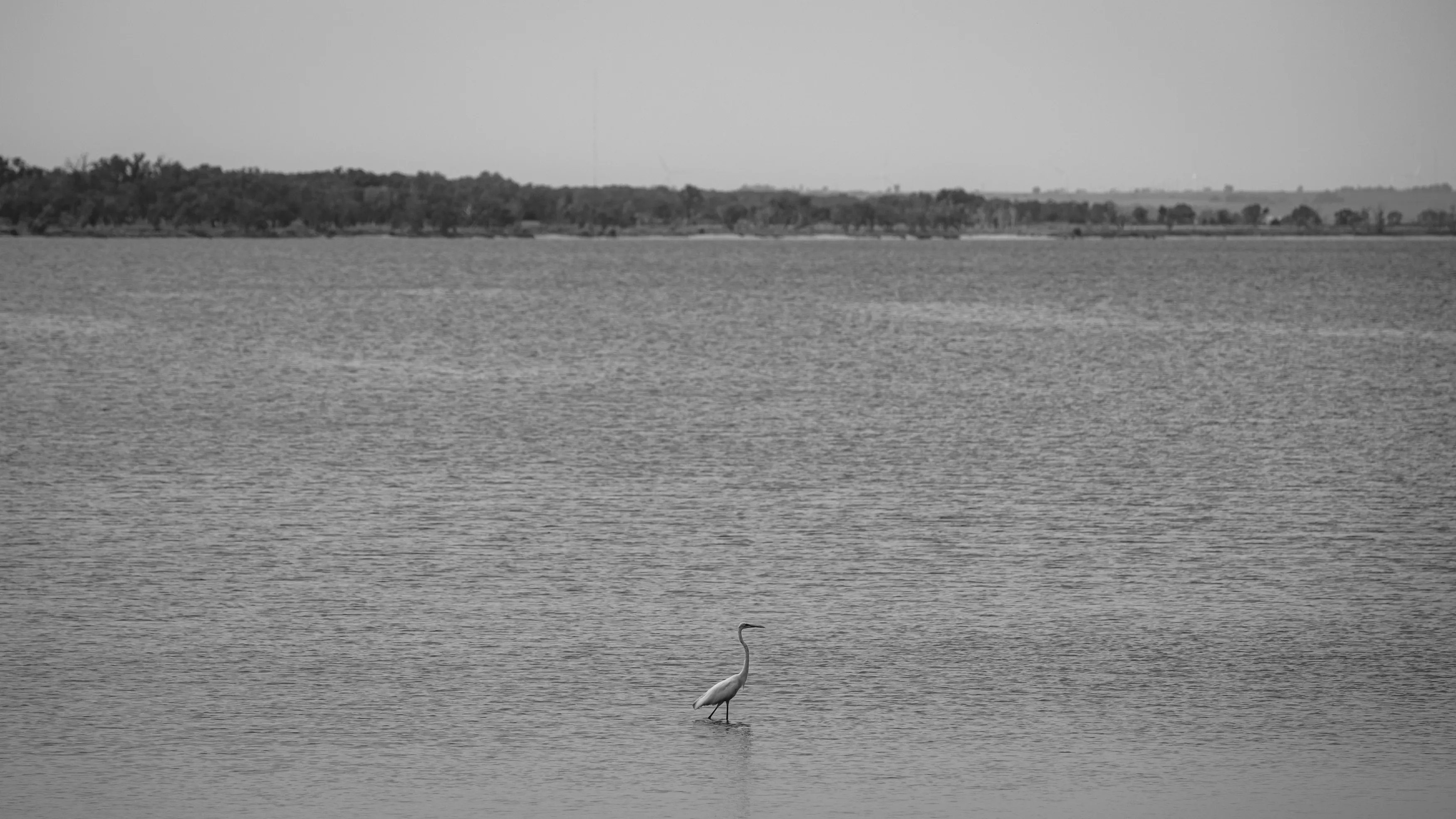 Around The Great Salt Plains — Salt Plains State Park - Oklahoma