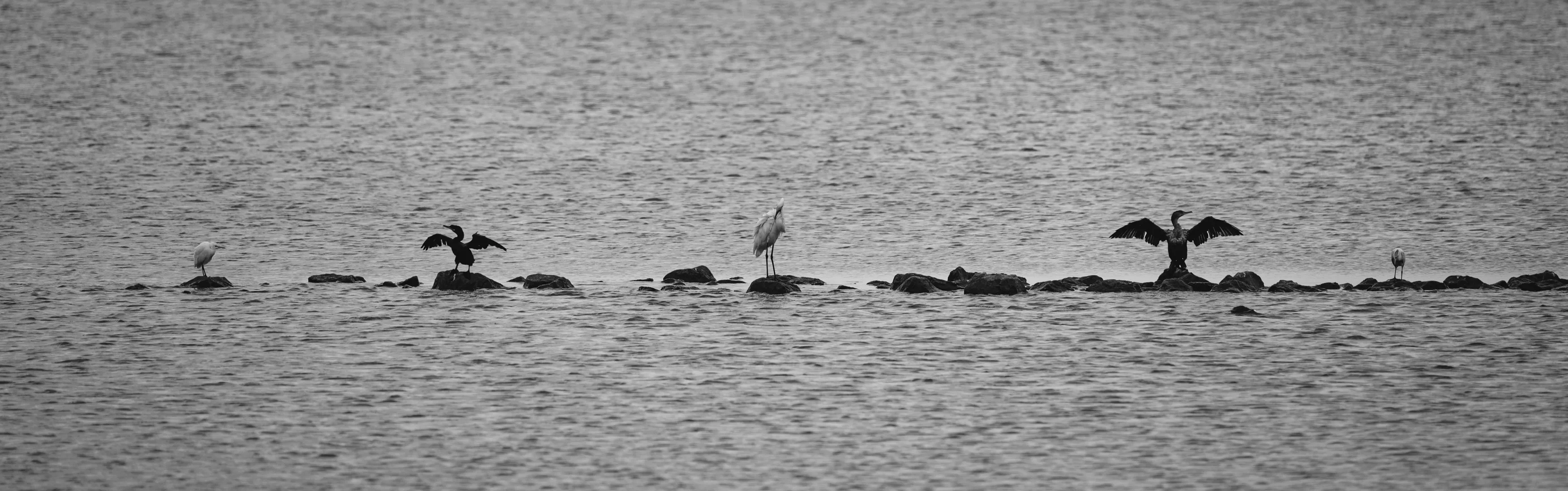 Around The Great Salt Plains — Salt Plains State Park - Oklahoma