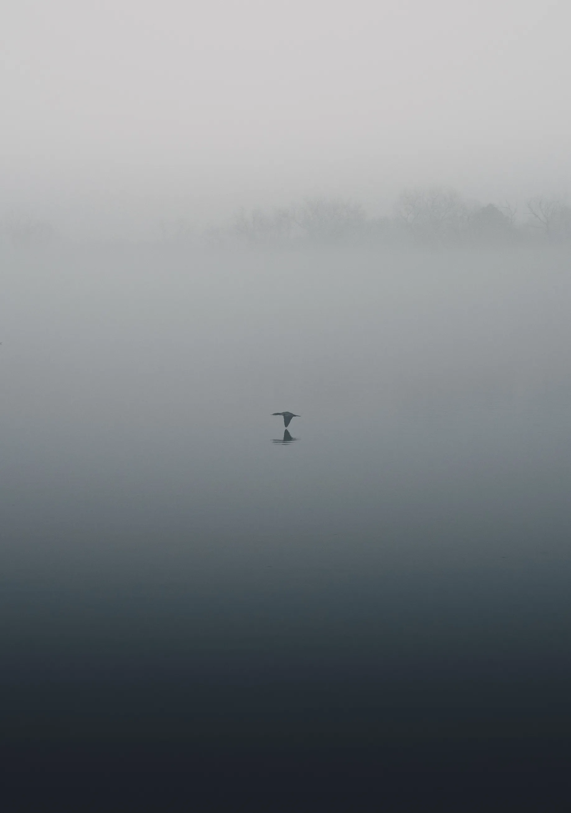 Foggy Morning at the Lake — Lake Hefner - Oklahoma
