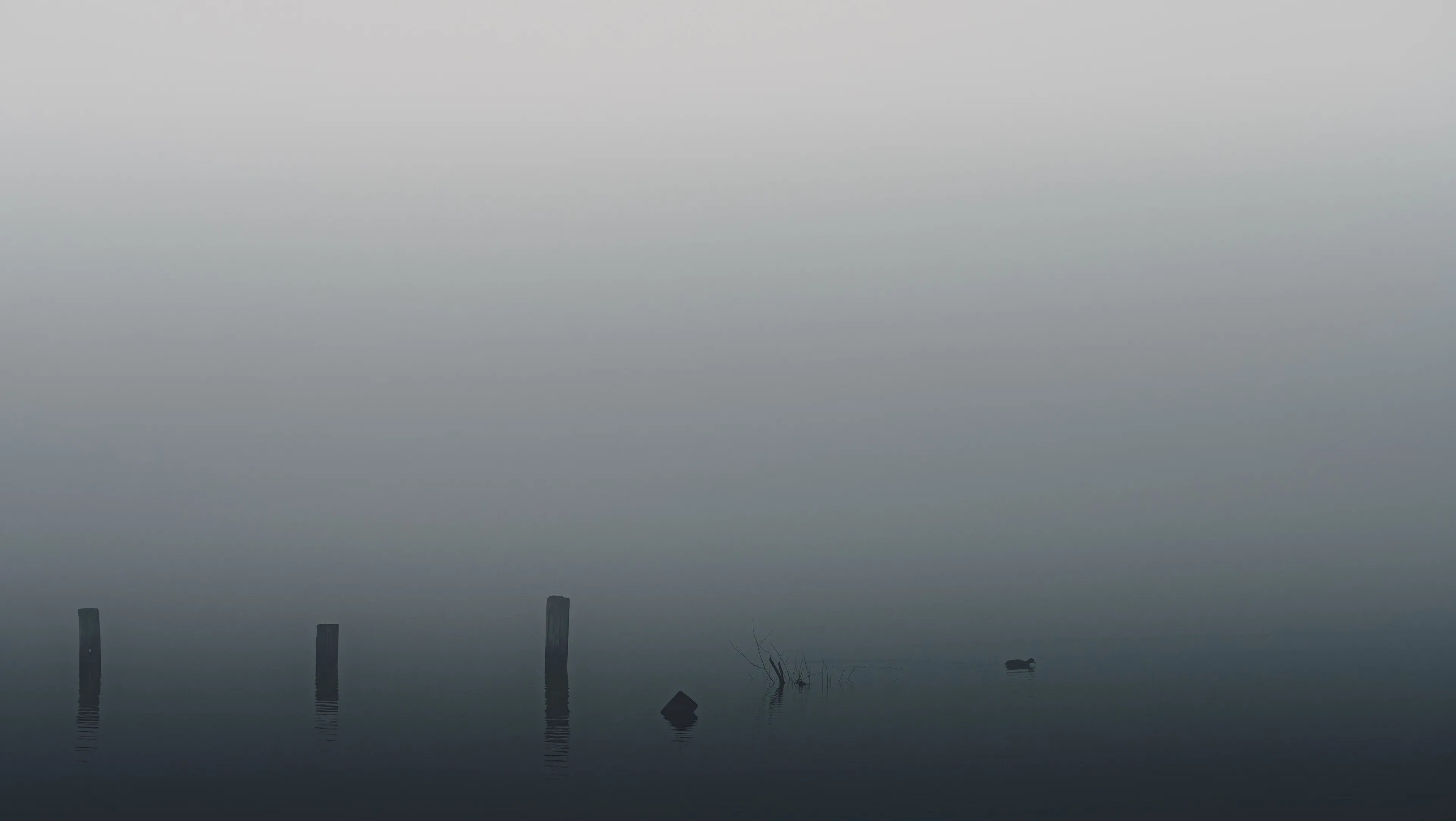 Foggy Morning at the Lake — Lake Hefner - Oklahoma