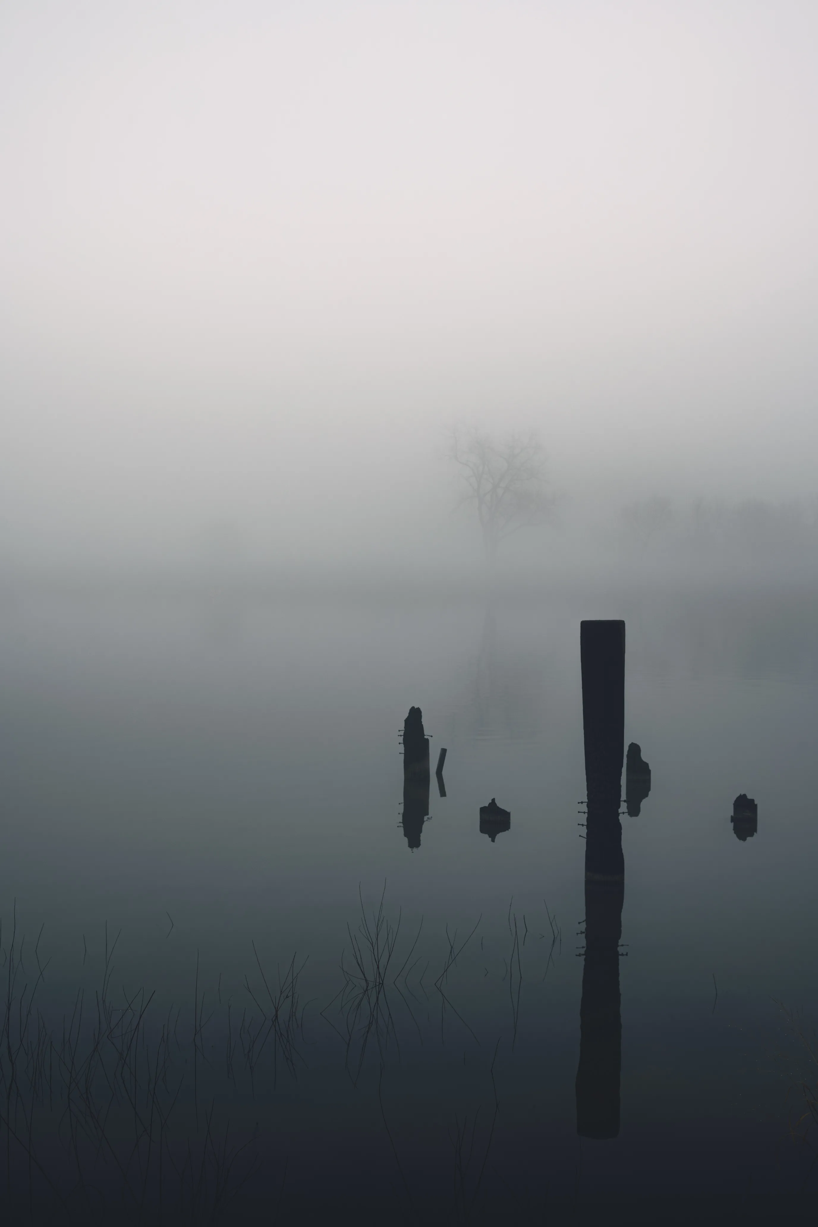 Foggy Morning at the Lake — Lake Hefner - Oklahoma