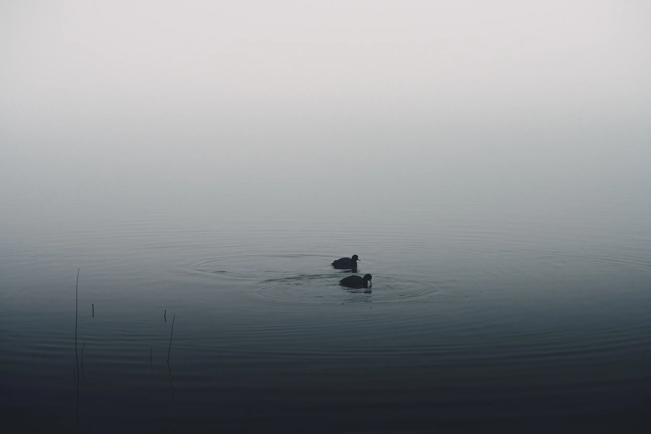 Foggy Morning at the Lake — Lake Hefner - Oklahoma