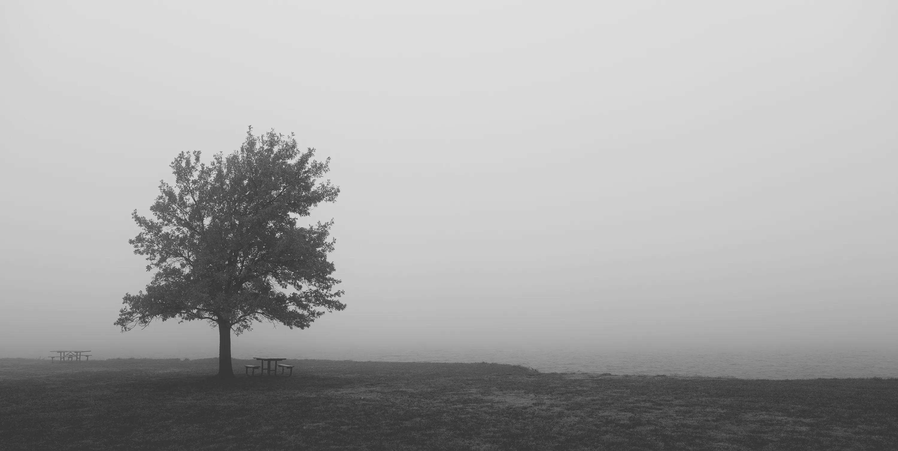 Foggy Morning at the Lake — Lake Hefner - Oklahoma