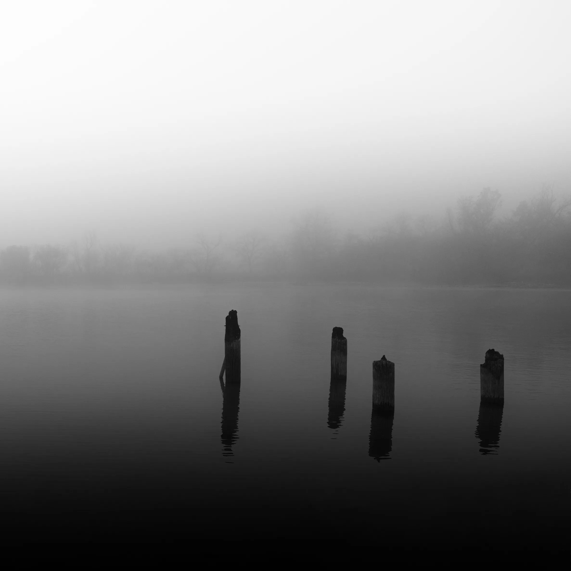 Foggy Morning at the Lake cover