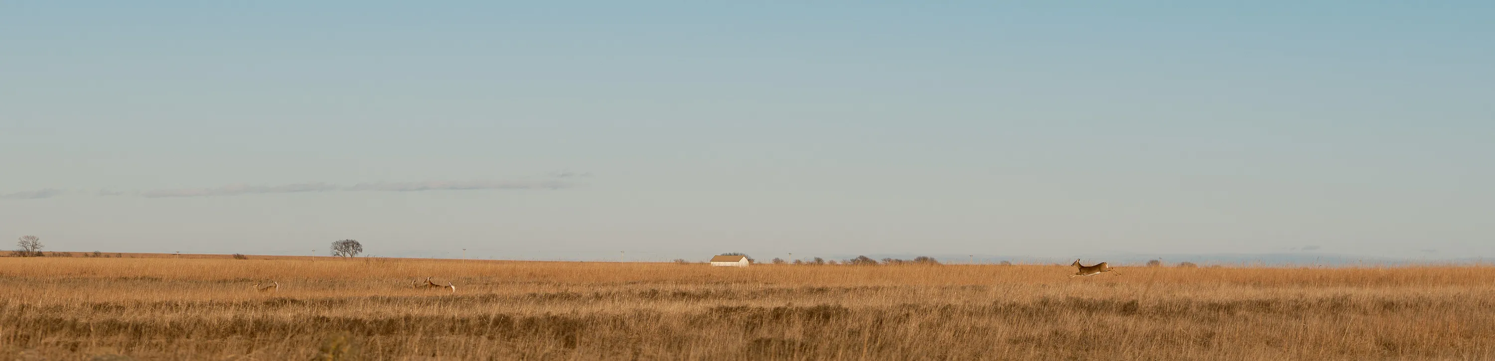 Kansas Winter Drive — Unknown - The Flint Hills of Kansas