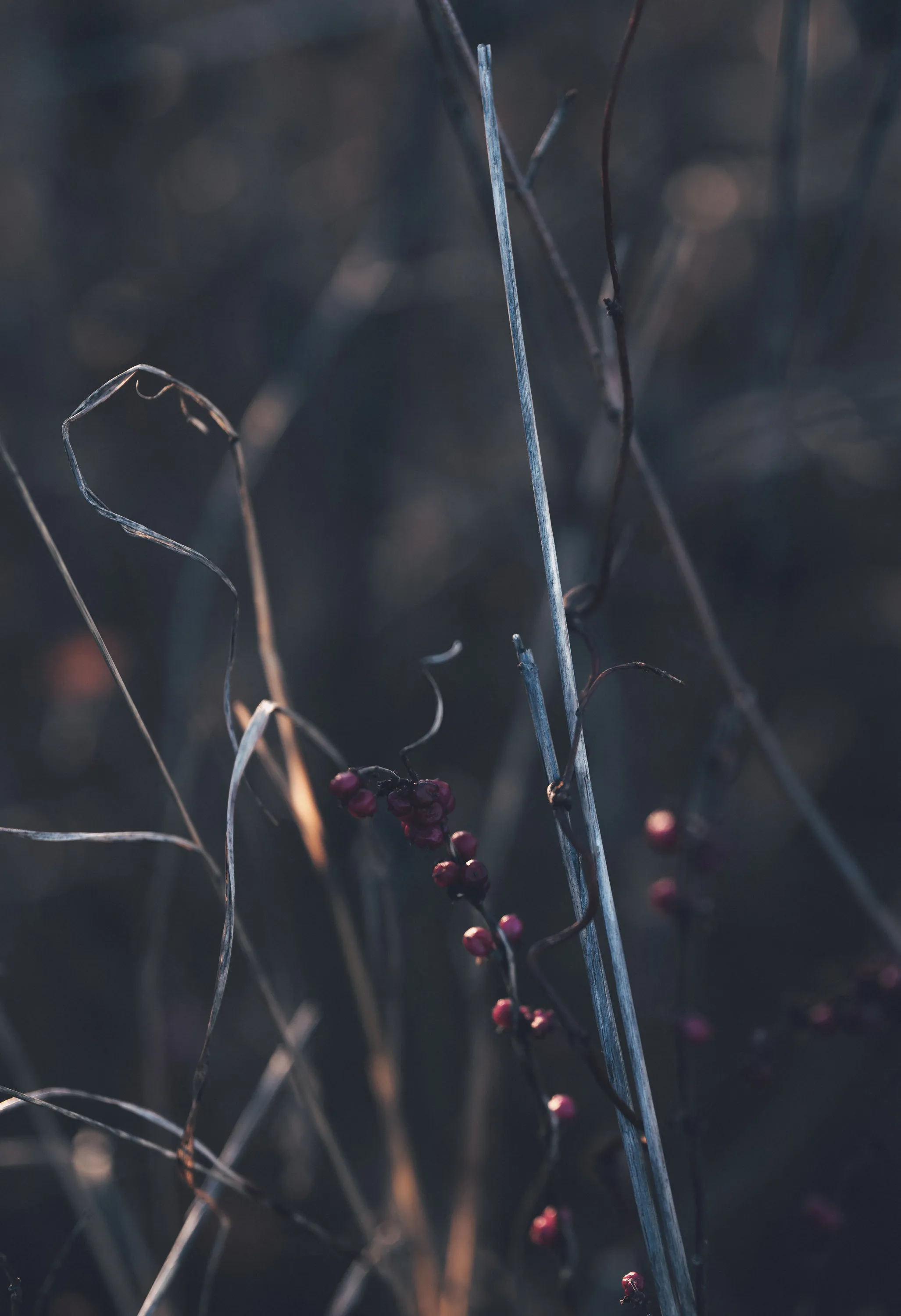 Kansas Winter Drive — Unknown - The Flint Hills of Kansas