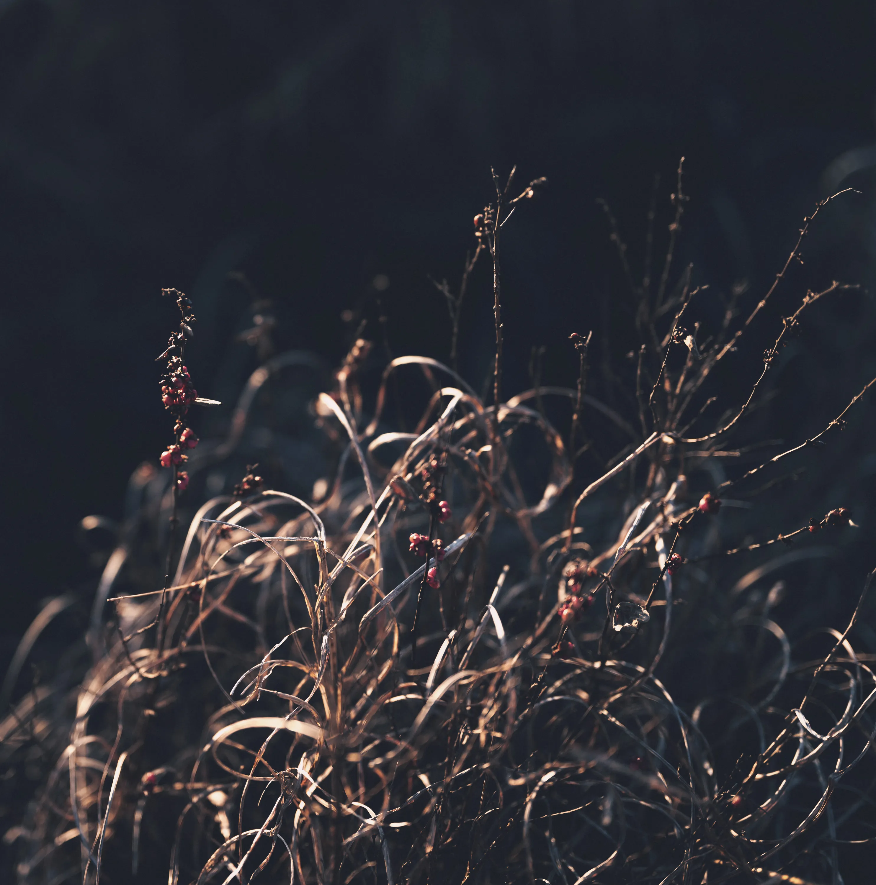 Kansas Winter Drive — Unknown - The Flint Hills of Kansas
