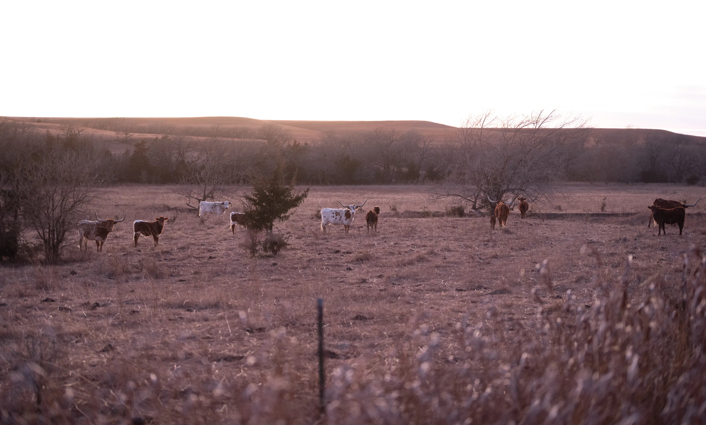 Kansas Winter Drive — Unknown - The Flint Hills of Kansas