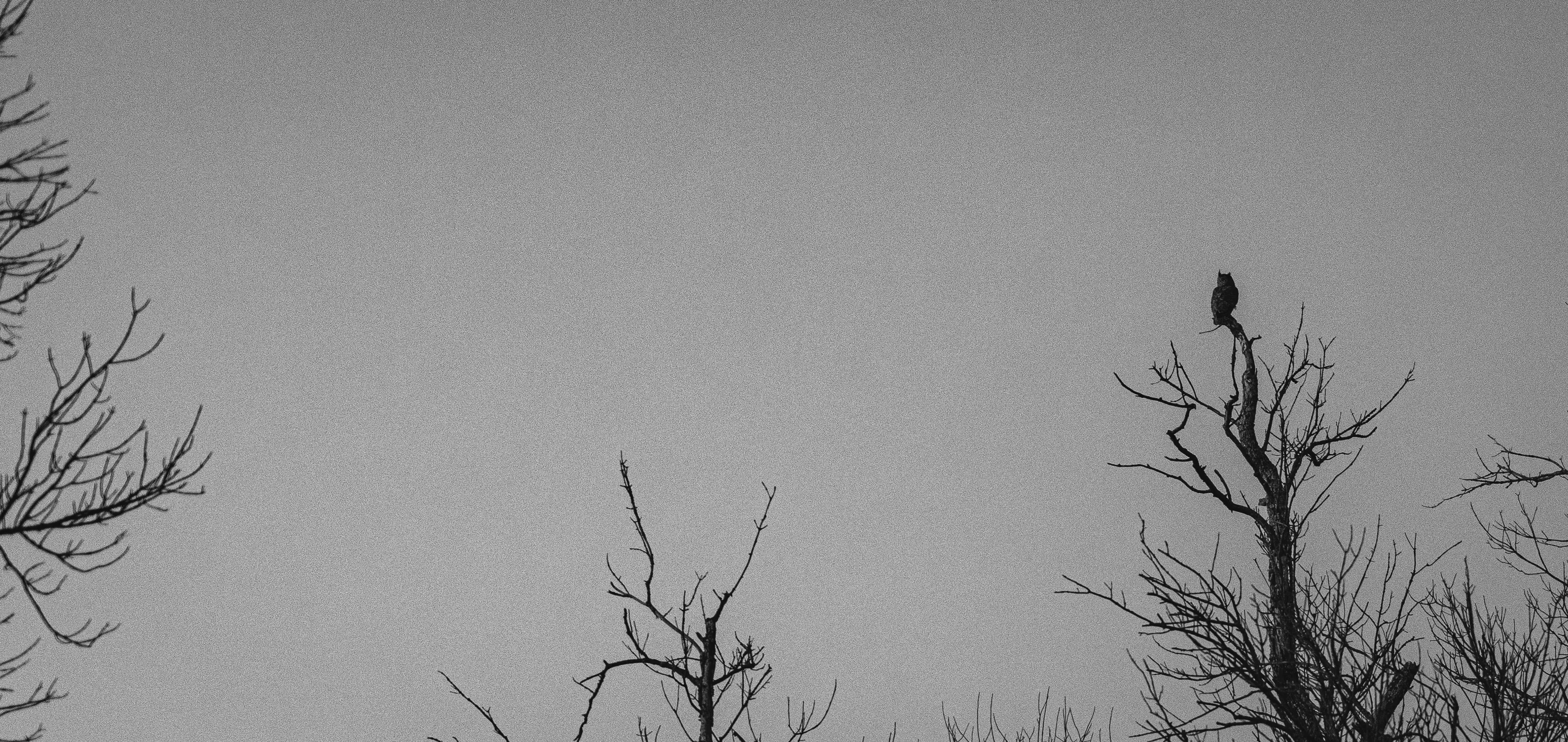 Kansas Winter Drive — Unknown - The Flint Hills of Kansas