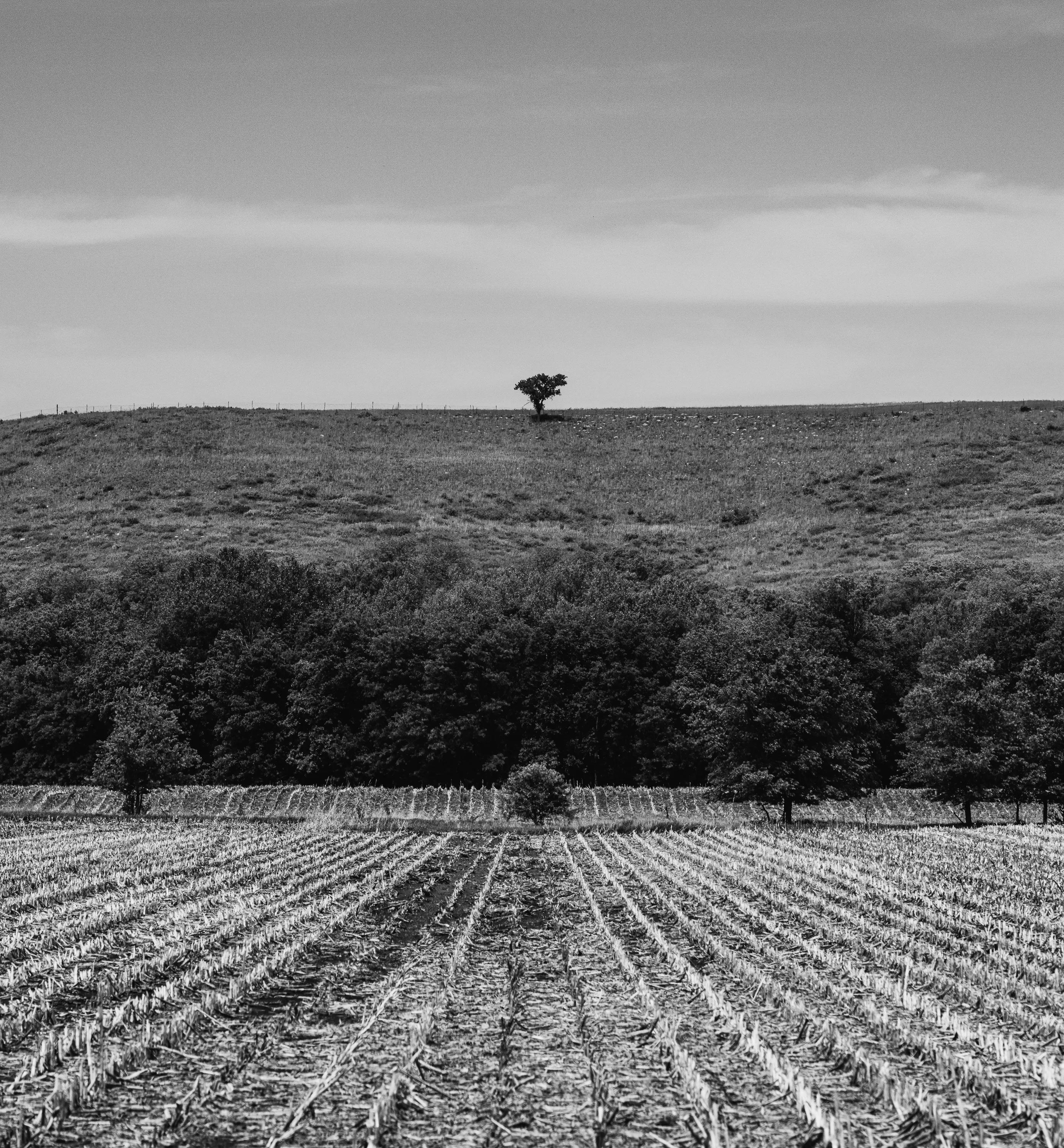 Kansas Spring Drive — Unkown - Flint Hills of KS