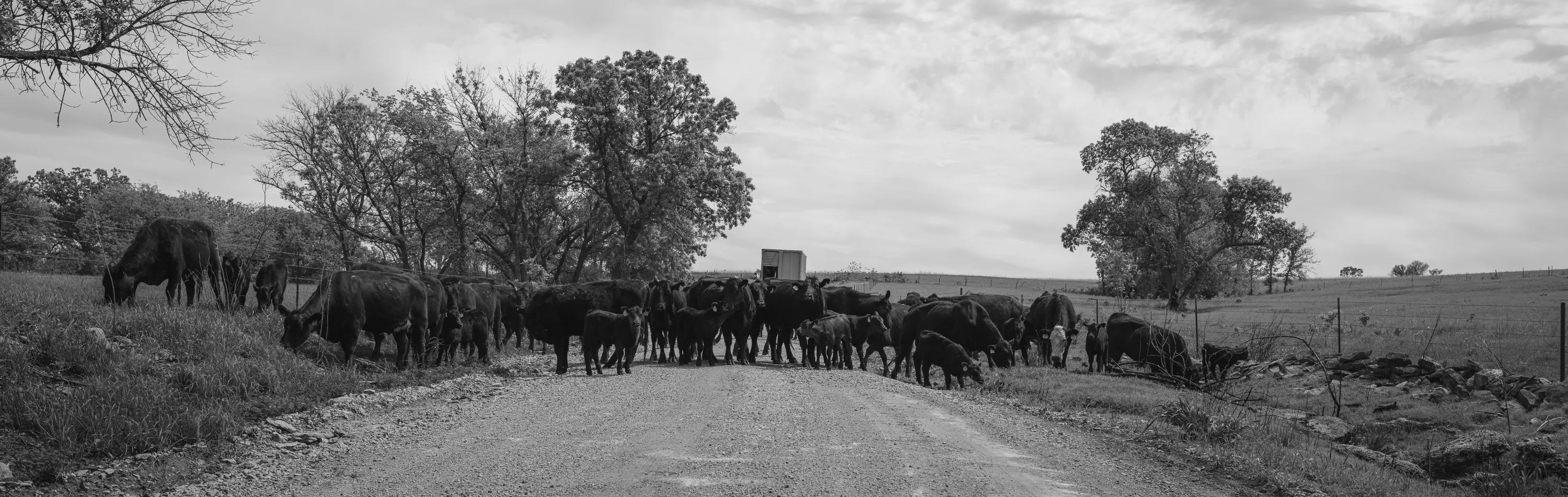 Kansas Spring Drive — Unkown - Flint Hills of KS