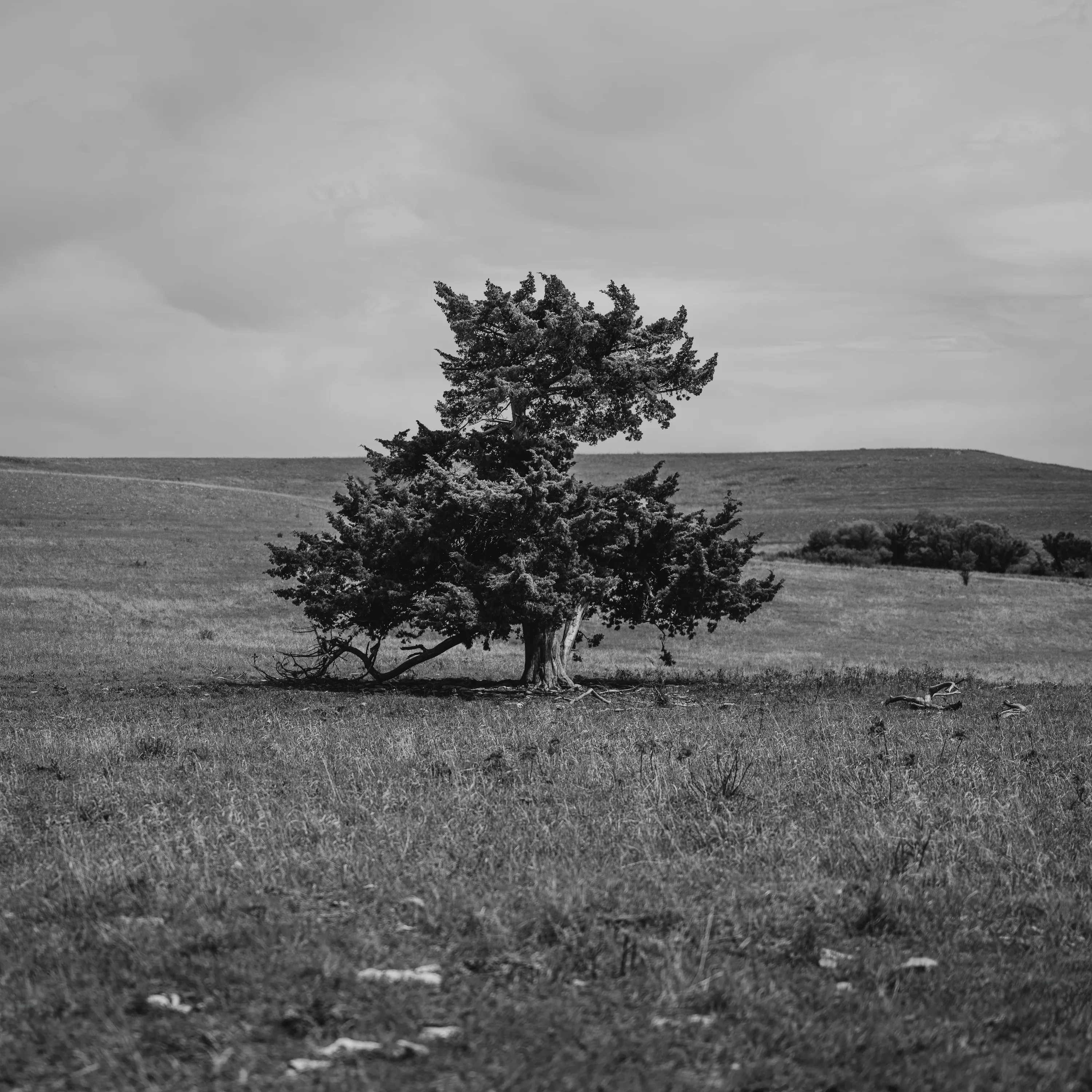 Kansas Spring Drive — Unkown - Flint Hills of KS