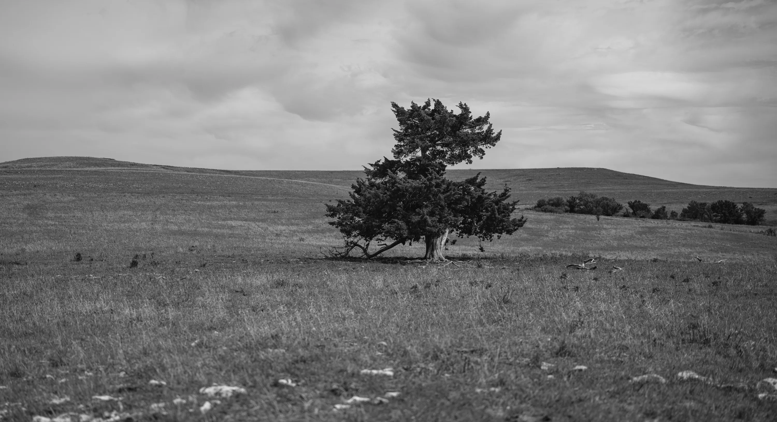 Kansas Spring Drive — Unkown - Flint Hills of KS