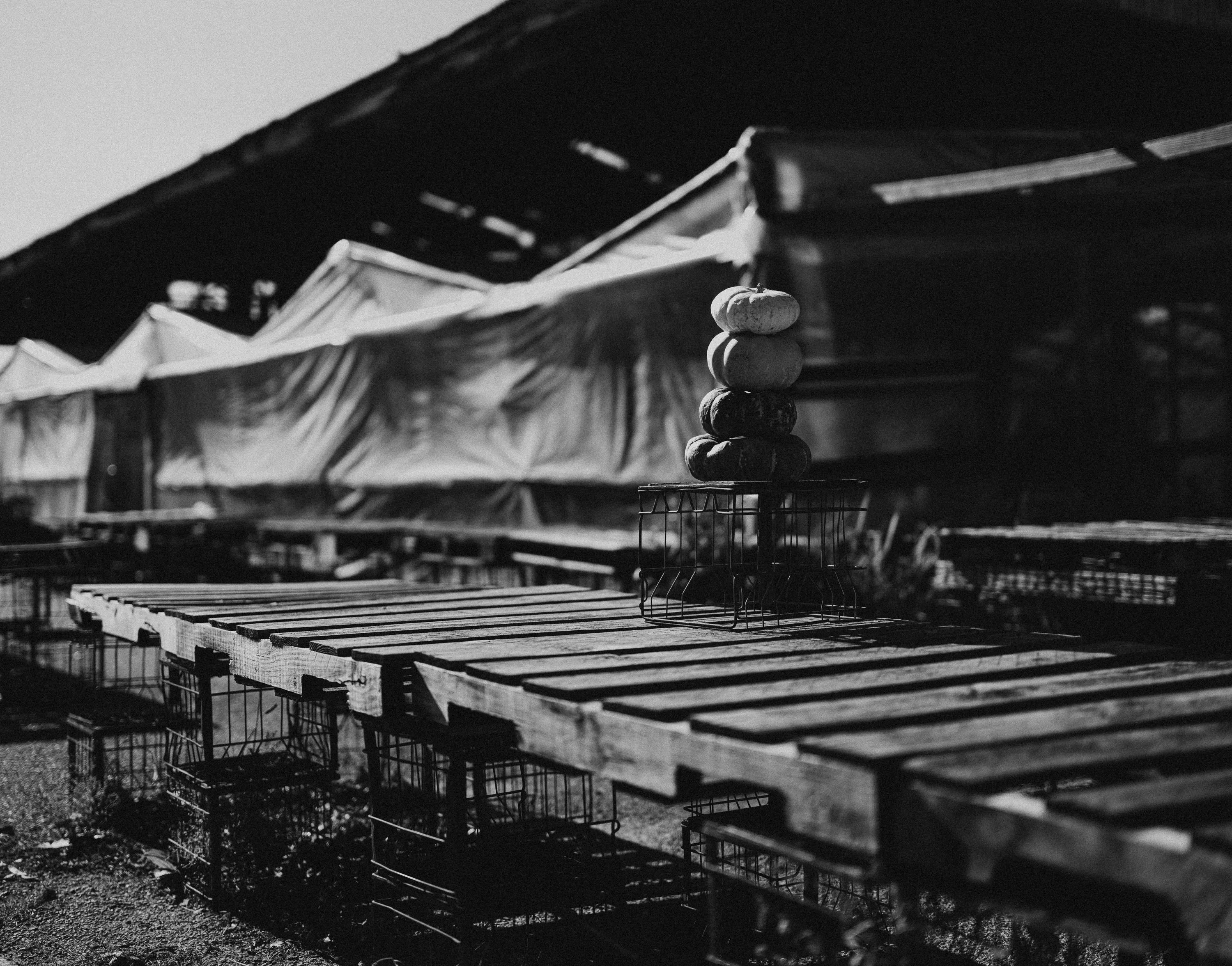 Season’s End at the Public Market cover