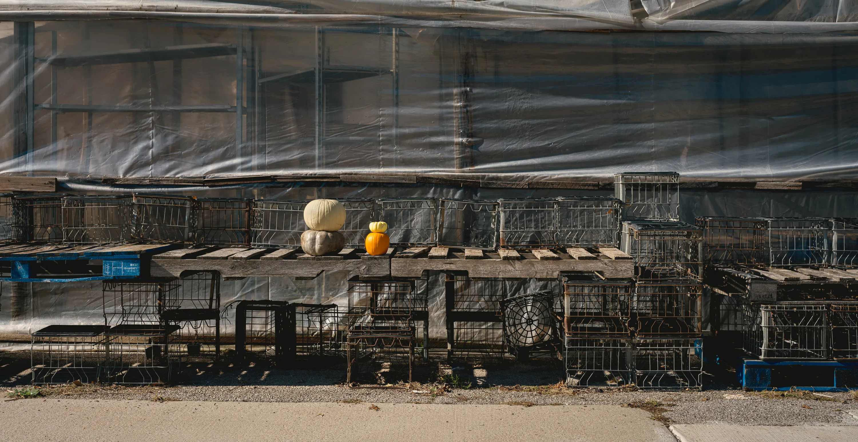 Season’s End at the Public Market — Oklahoma City, Oklahoma