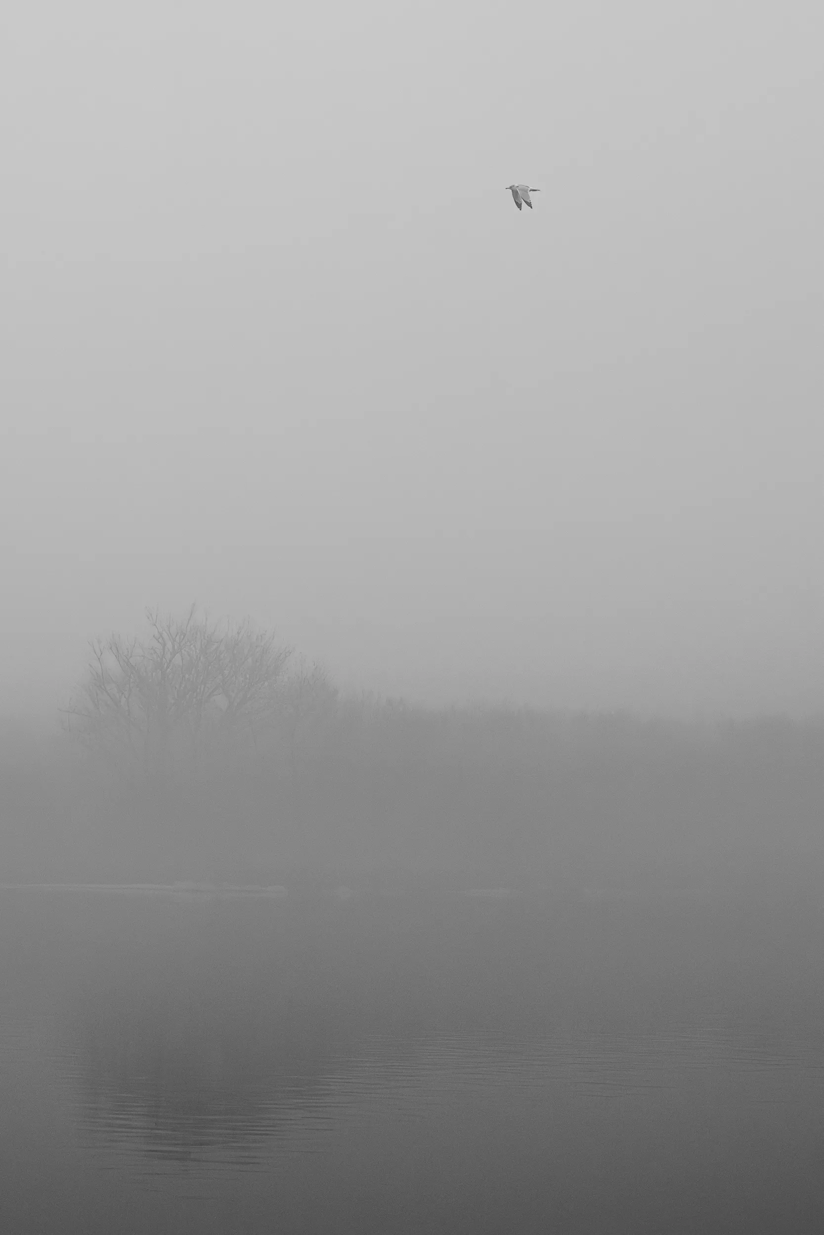 Lake Hefner Fog — Lake Hefner, Oklahoma City