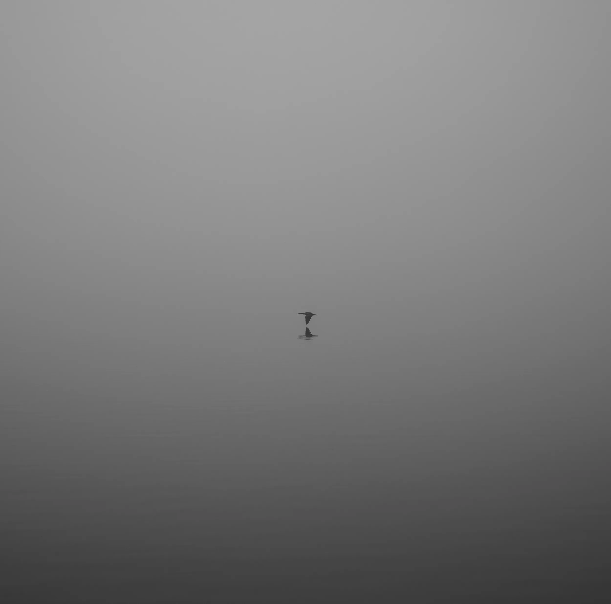 Lake Hefner Fog — Lake Hefner, Oklahoma City