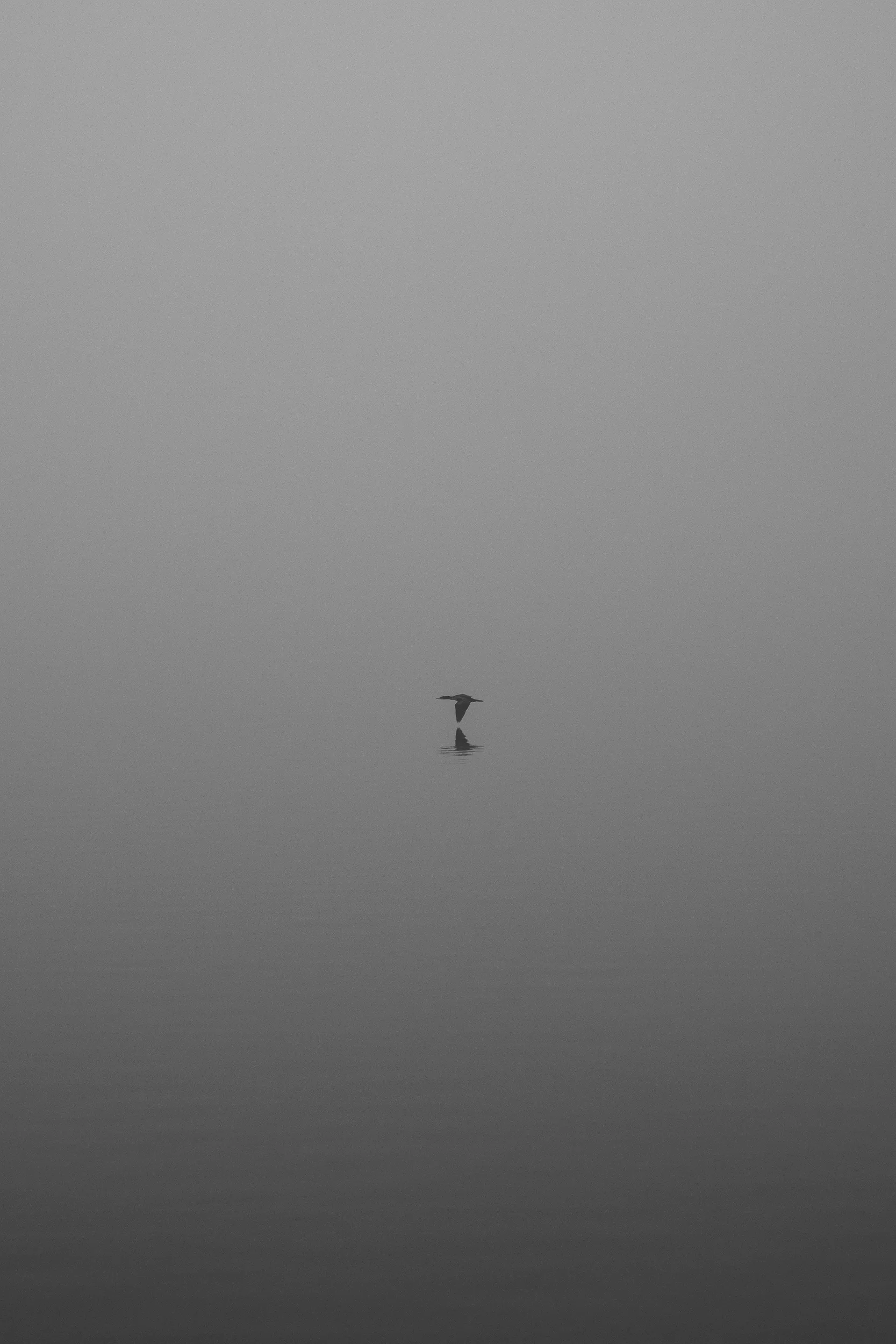Lake Hefner Fog — Lake Hefner, Oklahoma City
