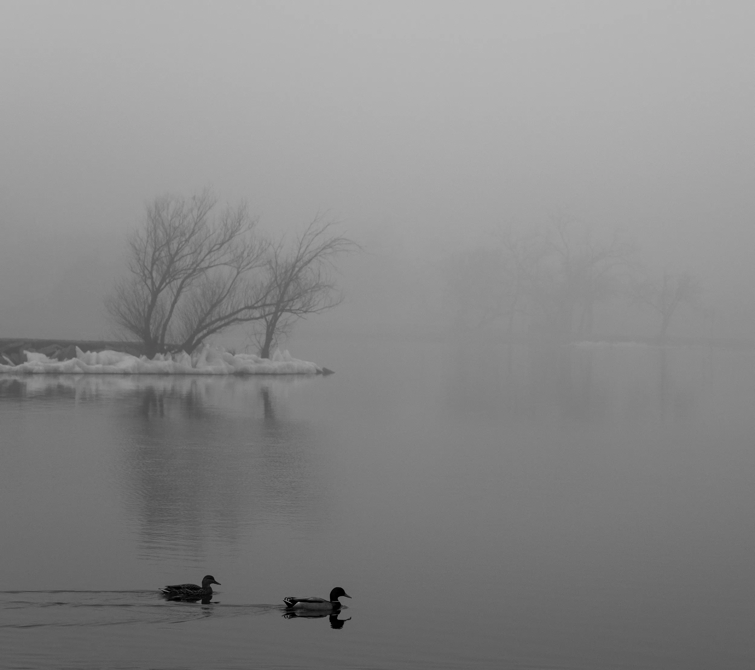 Lake Hefner Fog — Lake Hefner, Oklahoma City