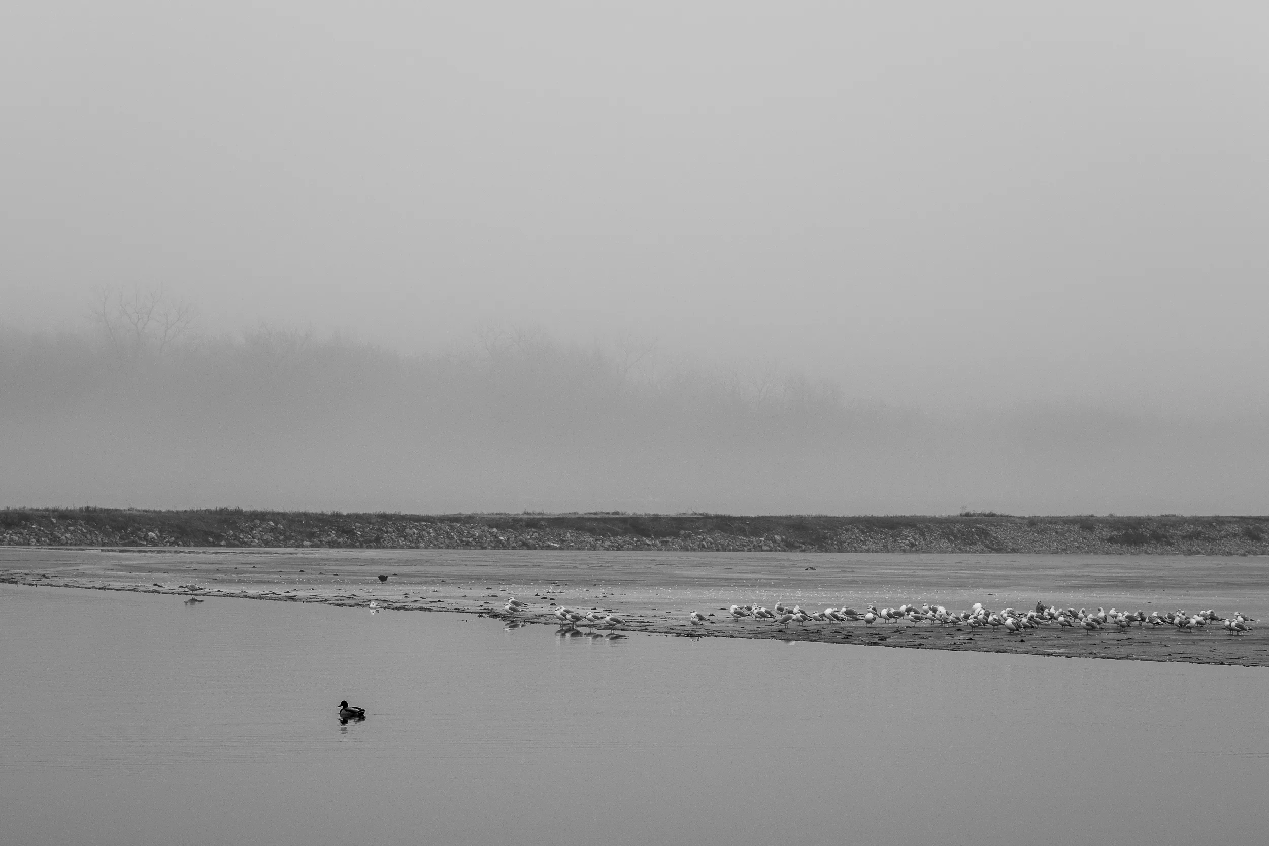 Lake Hefner Fog — Lake Hefner, Oklahoma City