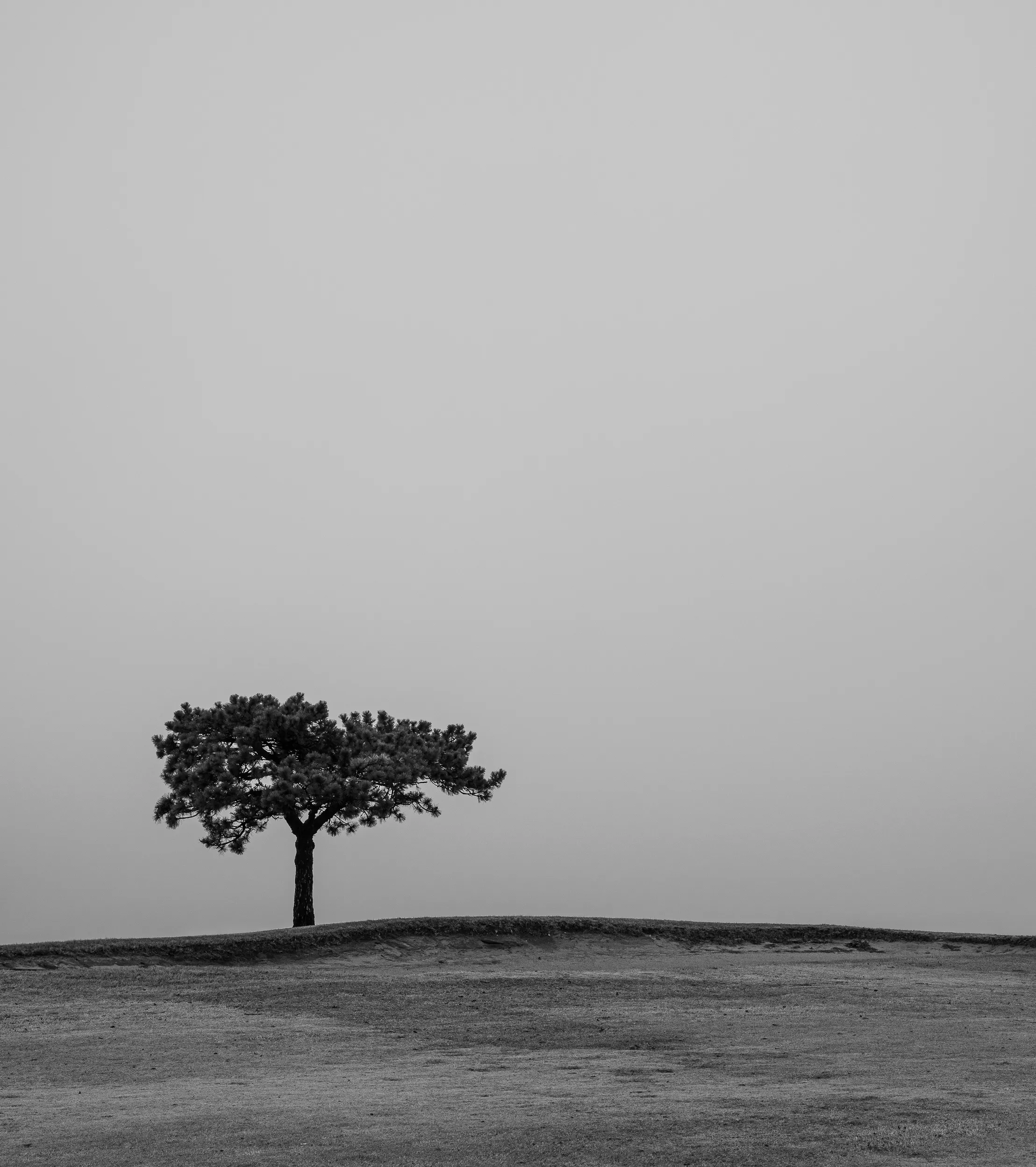 Lake Hefner Fog — Lake Hefner, Oklahoma City