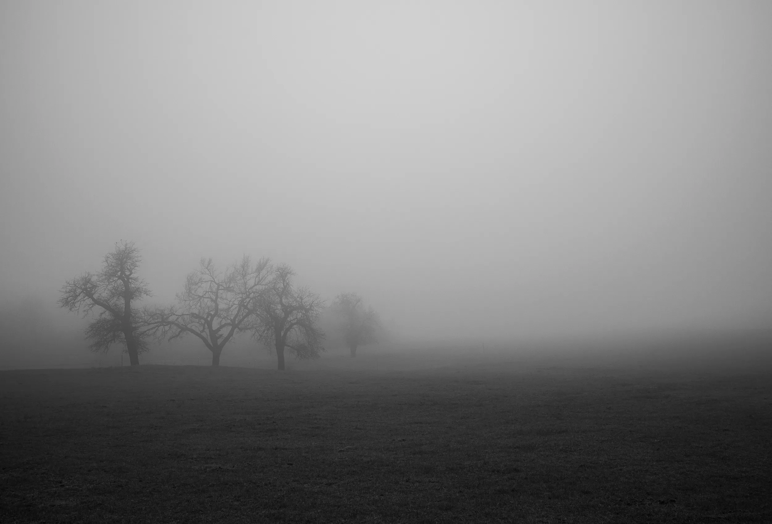 Lake Hefner Fog — Lake Hefner, Oklahoma City
