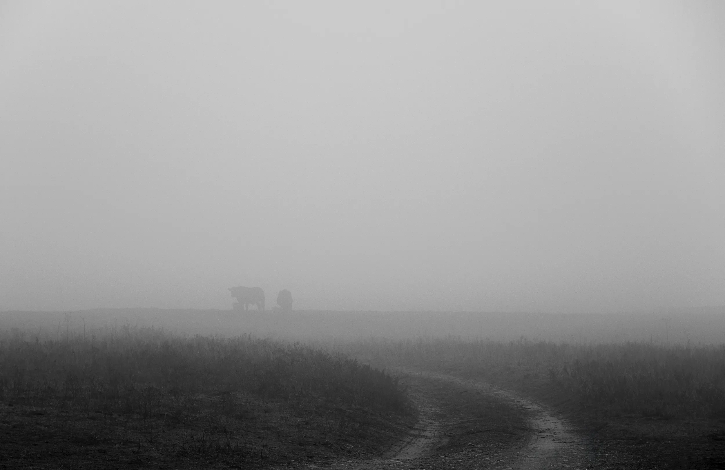 Lake Hefner Fog — Lake Hefner, Oklahoma City