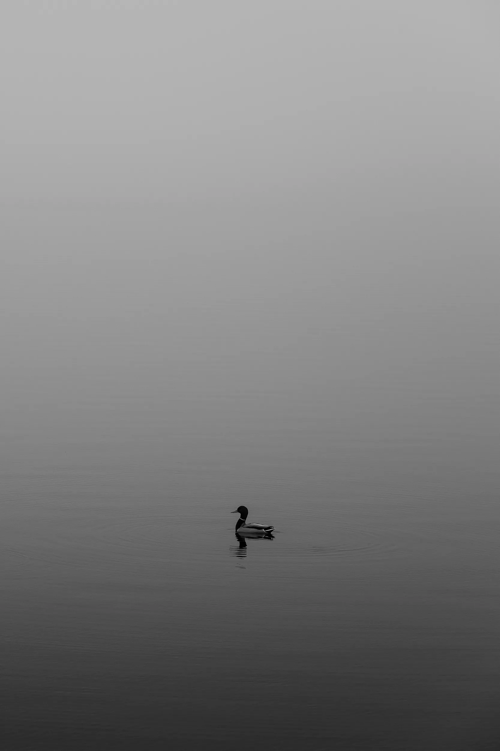Lake Hefner Fog — Lake Hefner, Oklahoma City