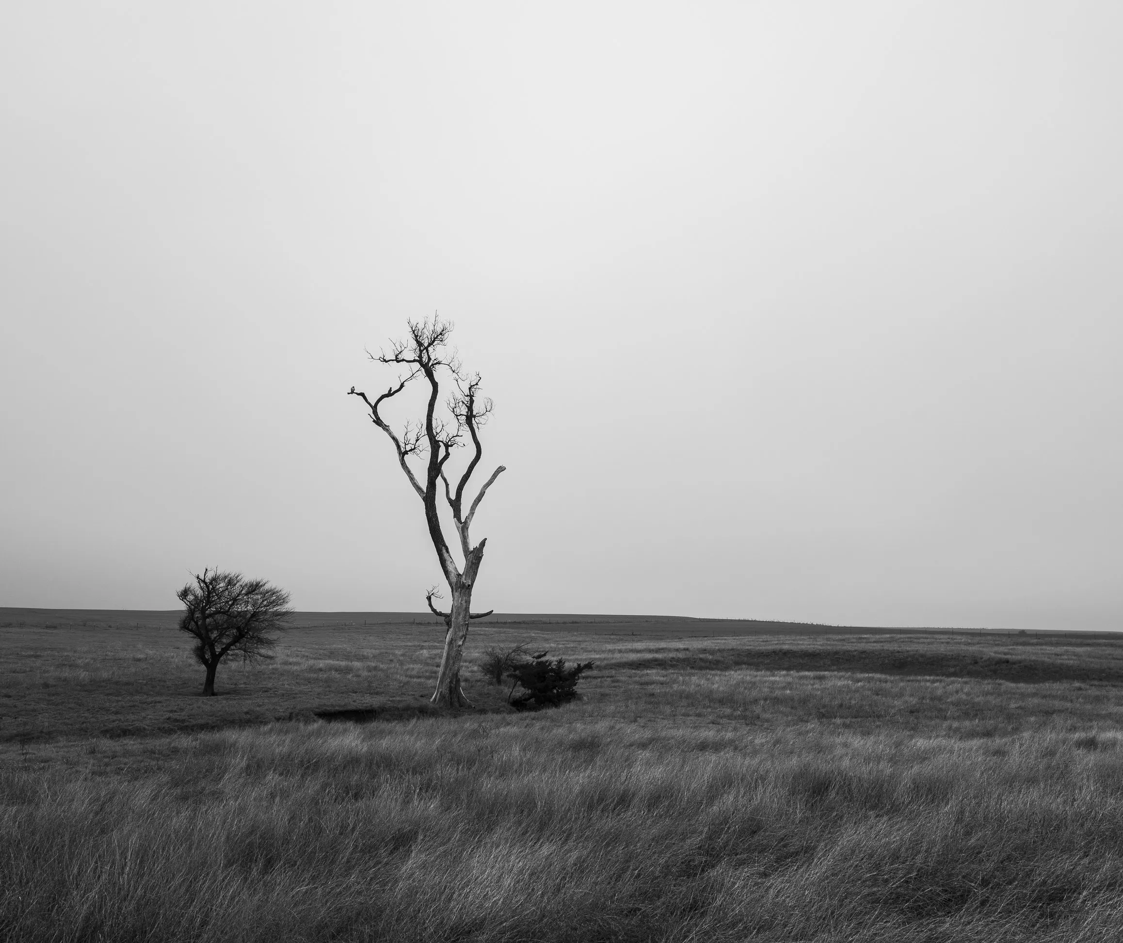 Lake Hefner Fog — Lake Hefner, Oklahoma City