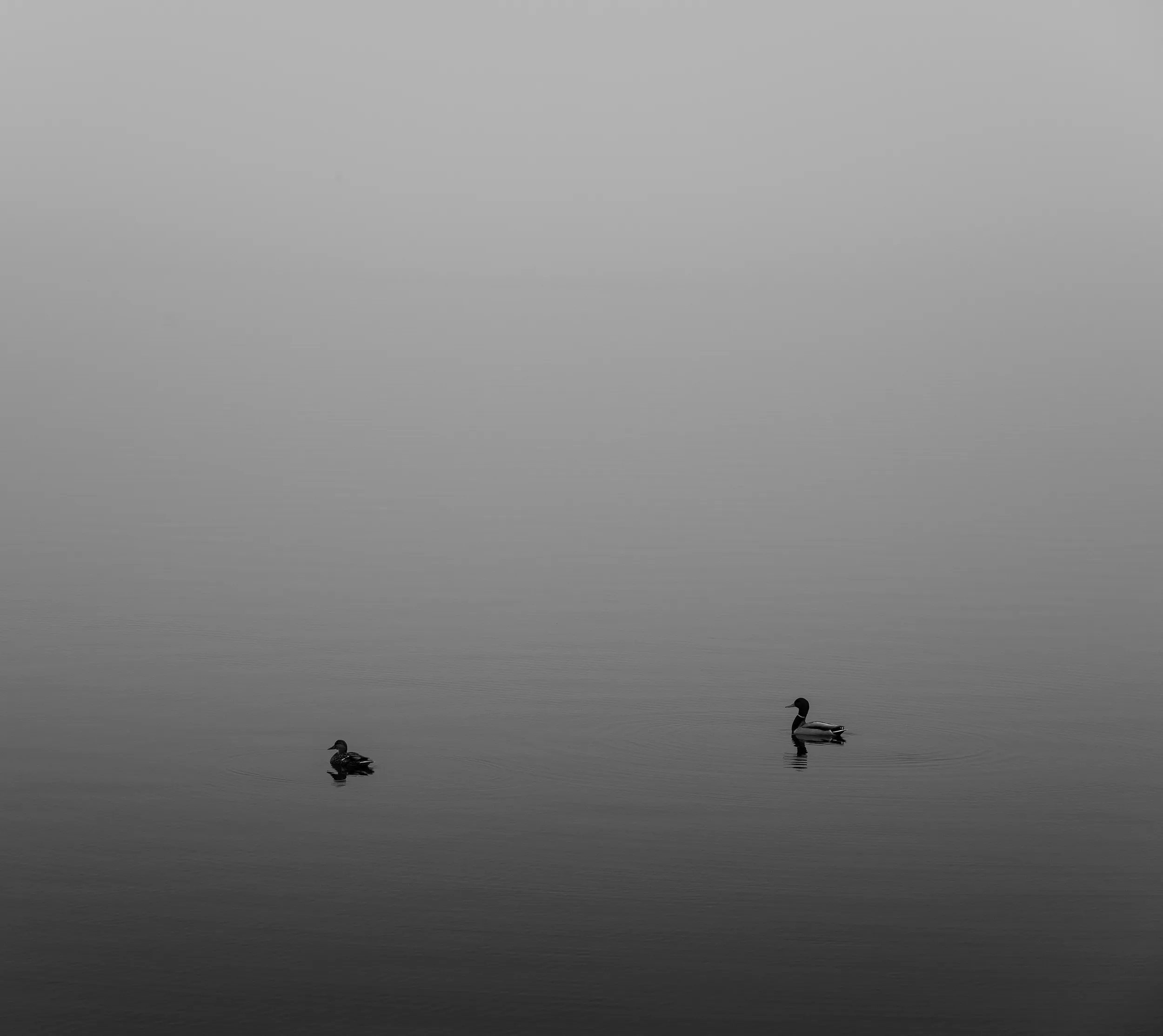 Lake Hefner Fog — Lake Hefner, Oklahoma City