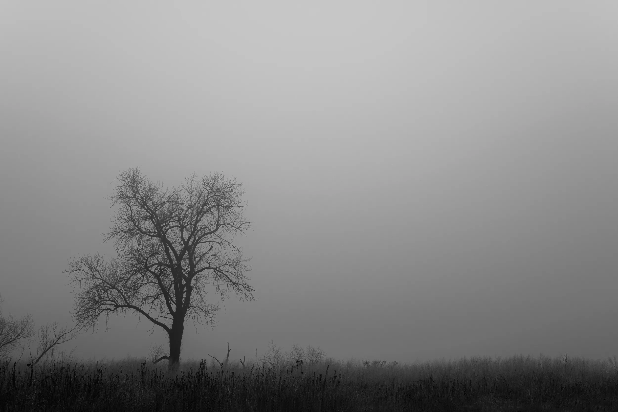 Lake Hefner Fog cover