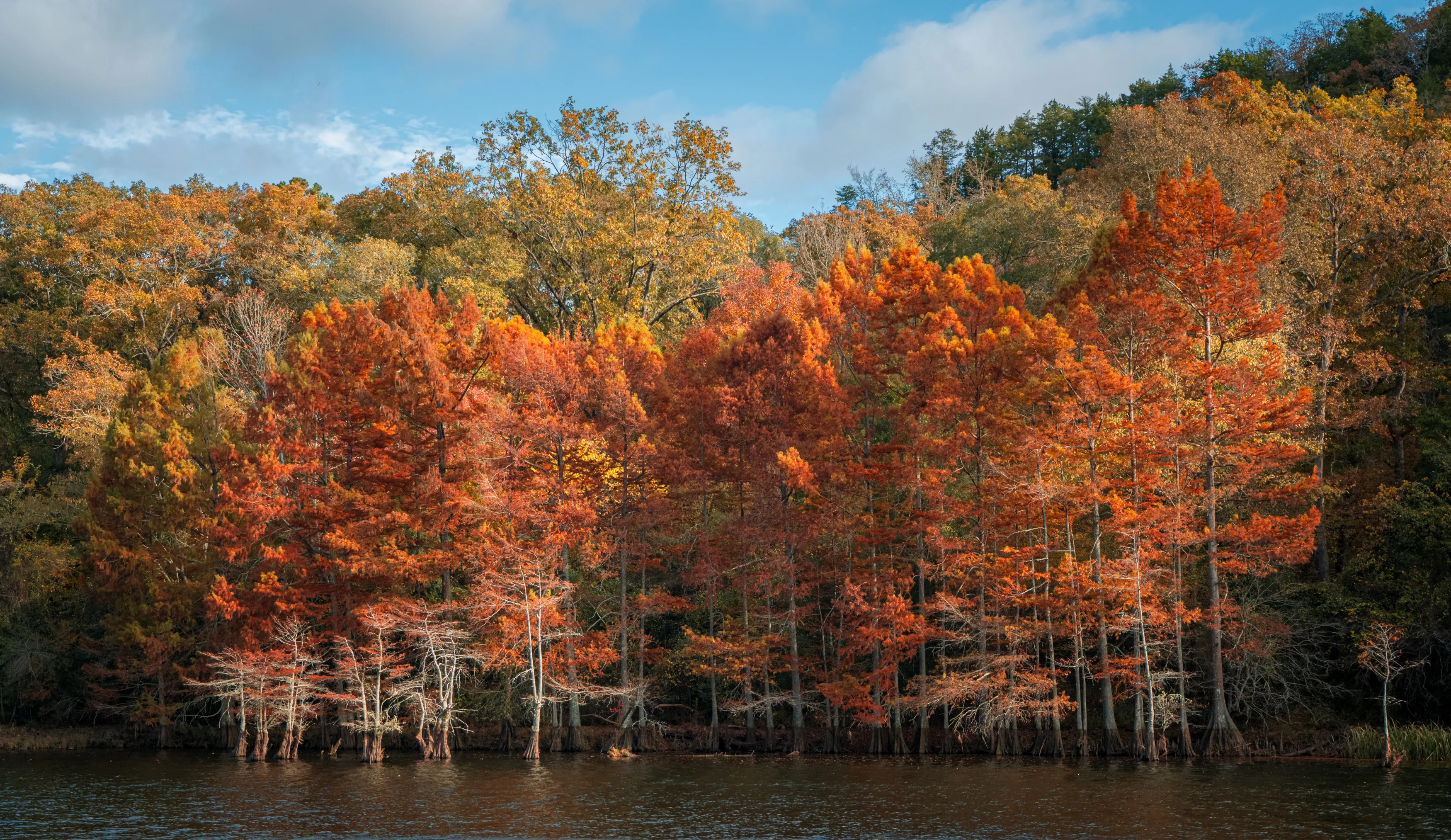 A Fall Drive to Talimena — Beaver's Bend, Oklahoma and The Talimena Drive