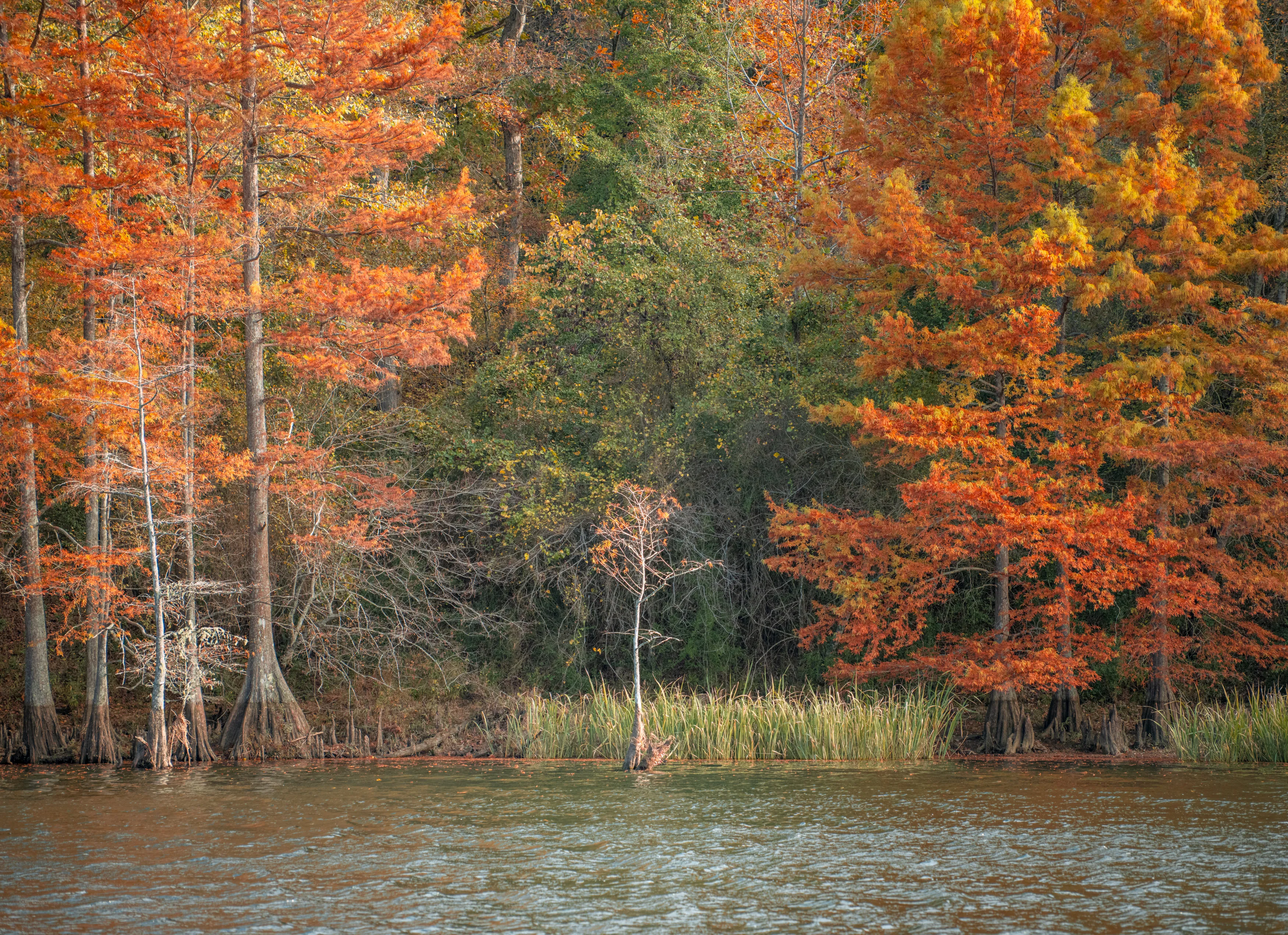 A Fall Drive to Talimena — Beaver's Bend, Oklahoma and The Talimena Drive