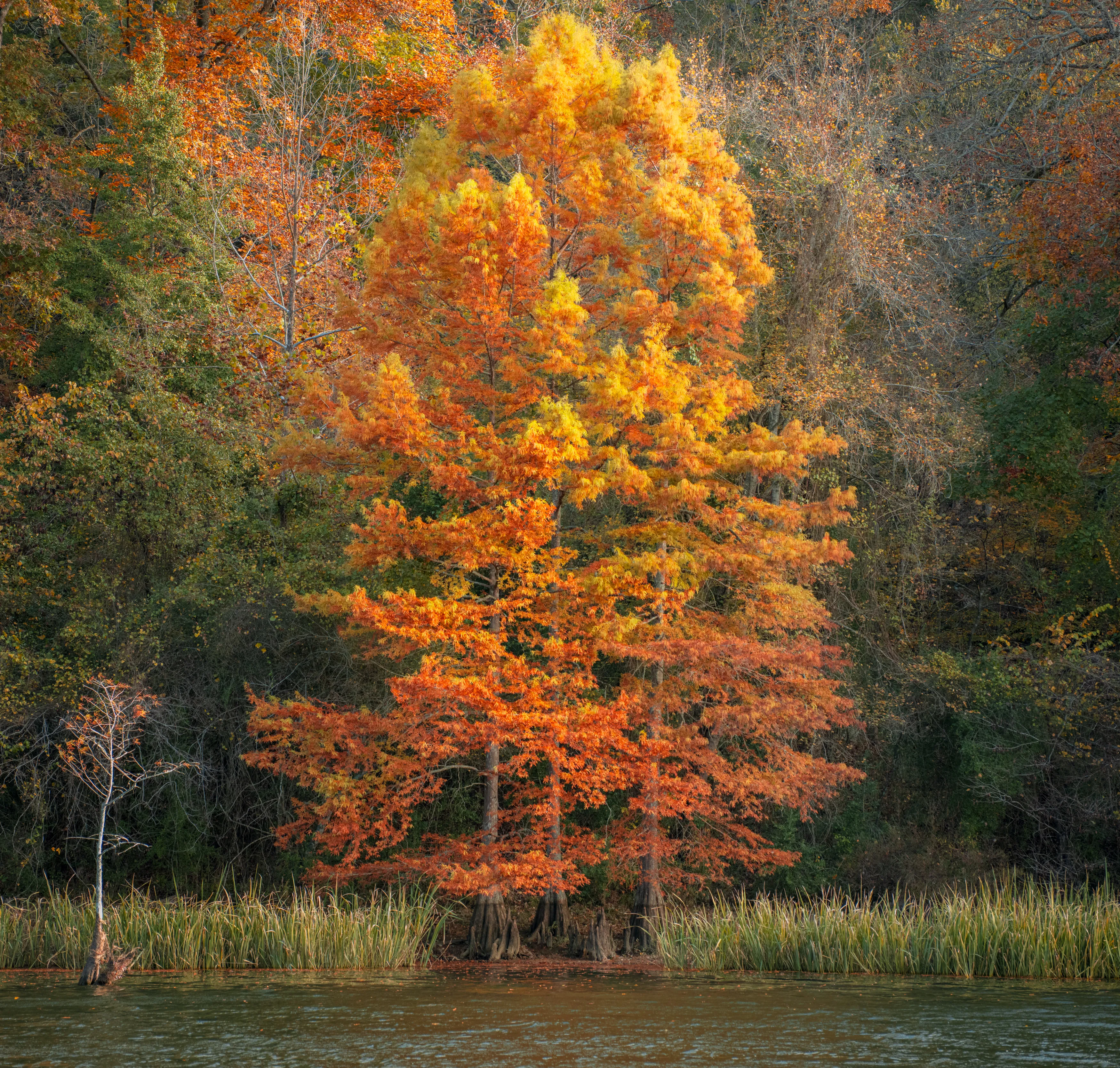 A Fall Drive to Talimena — Beaver's Bend, Oklahoma and The Talimena Drive