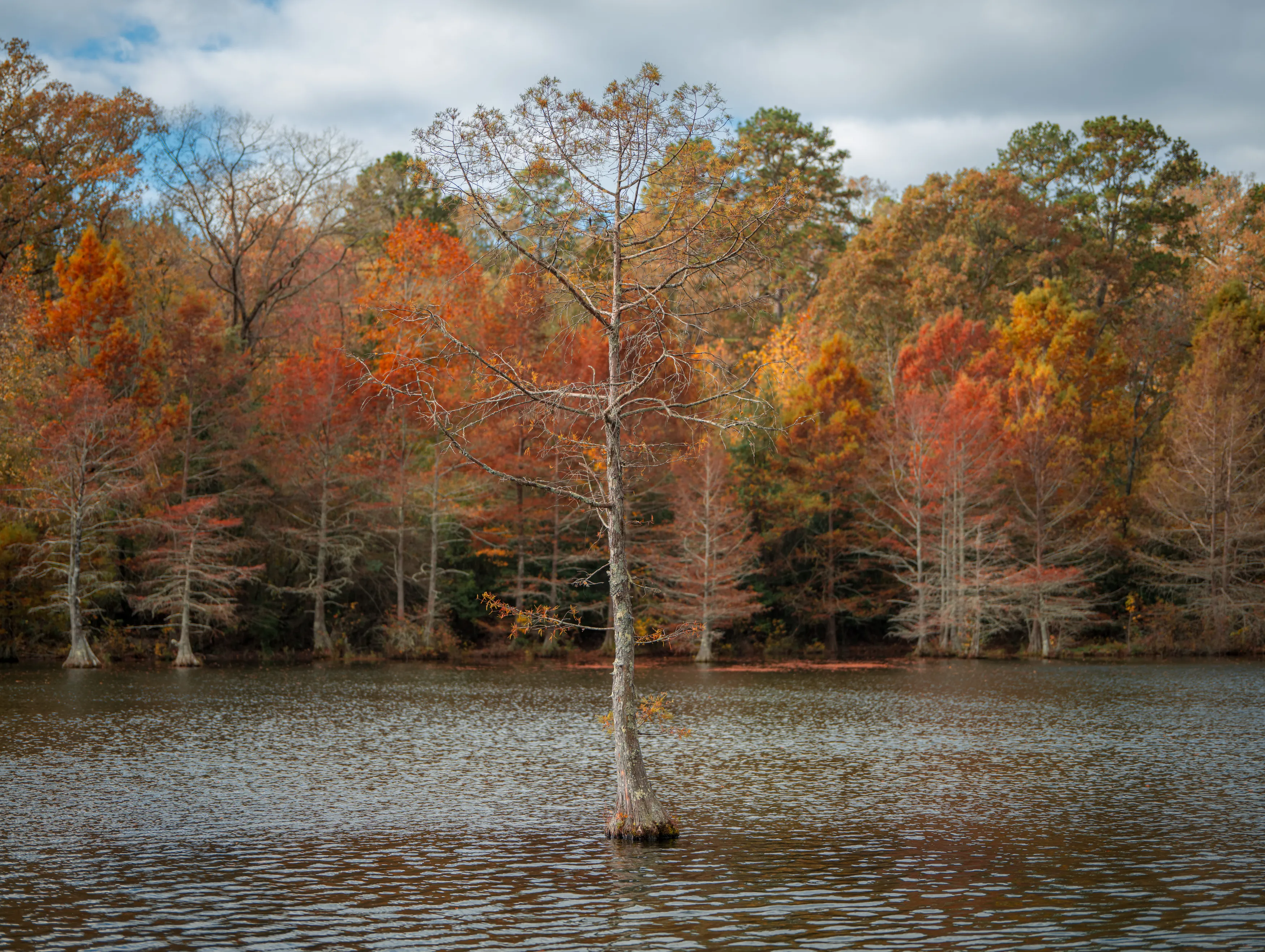 A Fall Drive to Talimena — Beaver's Bend, Oklahoma and The Talimena Drive