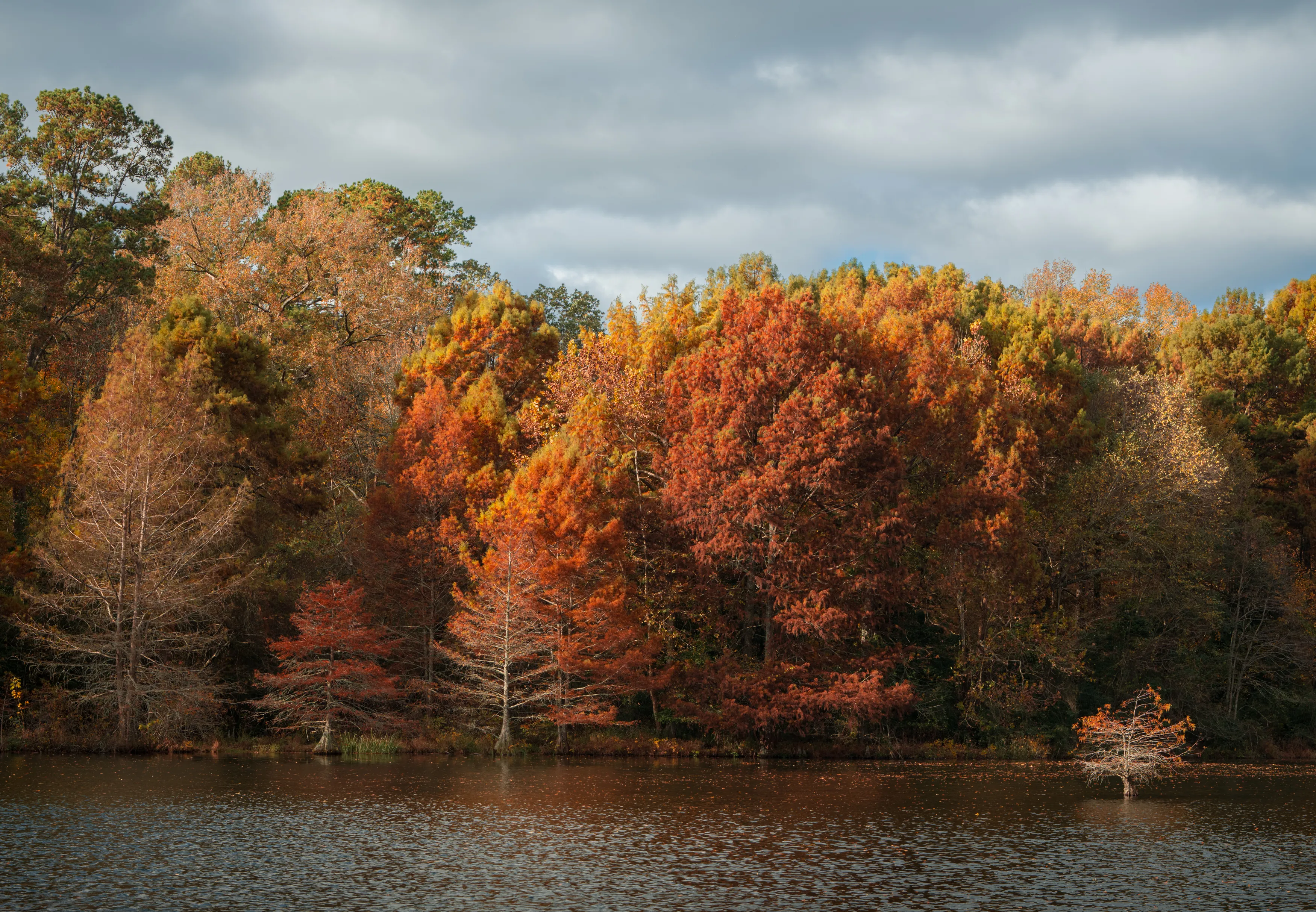 A Fall Drive to Talimena — Beaver's Bend, Oklahoma and The Talimena Drive