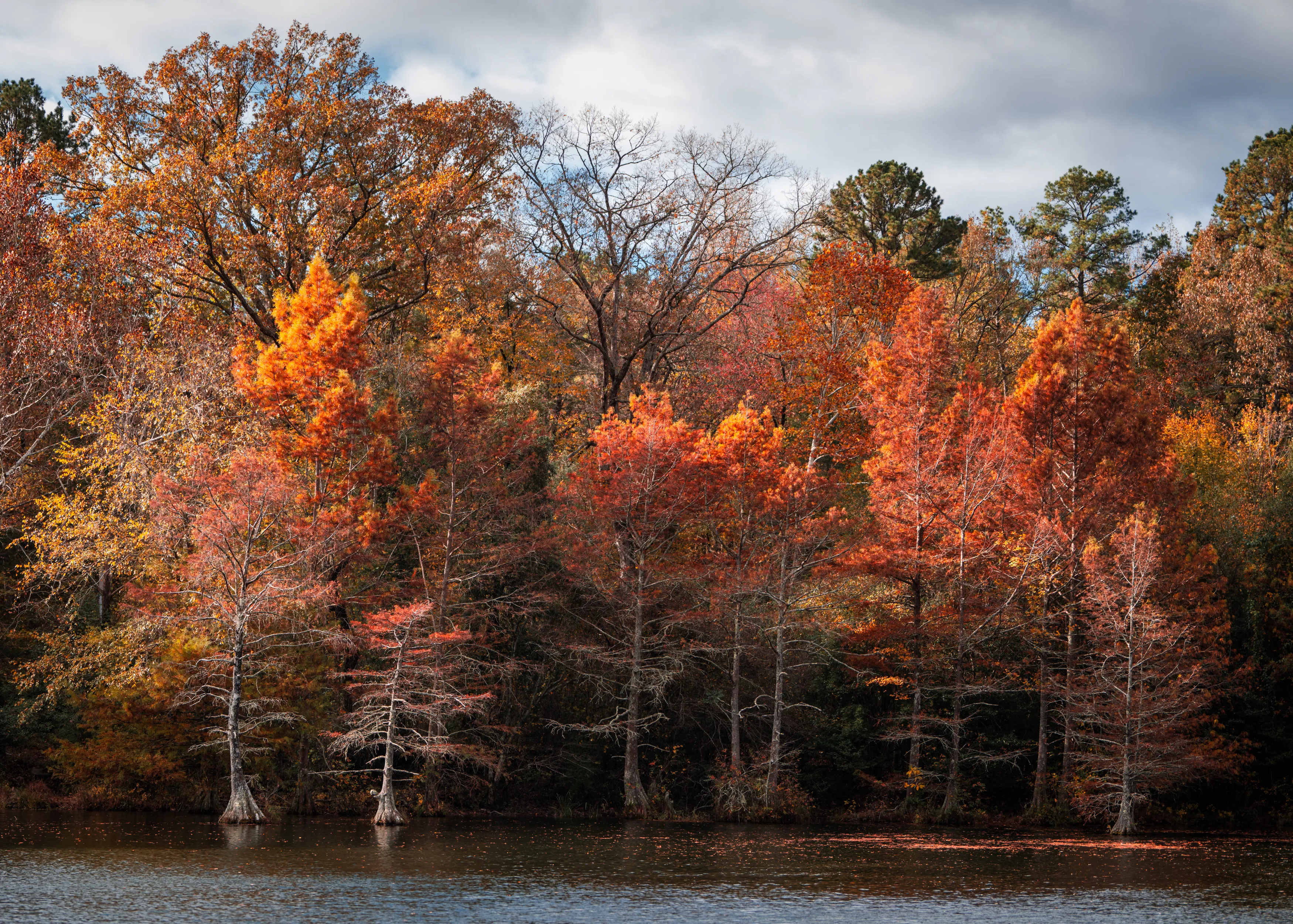 A Fall Drive to Talimena — Beaver's Bend, Oklahoma and The Talimena Drive