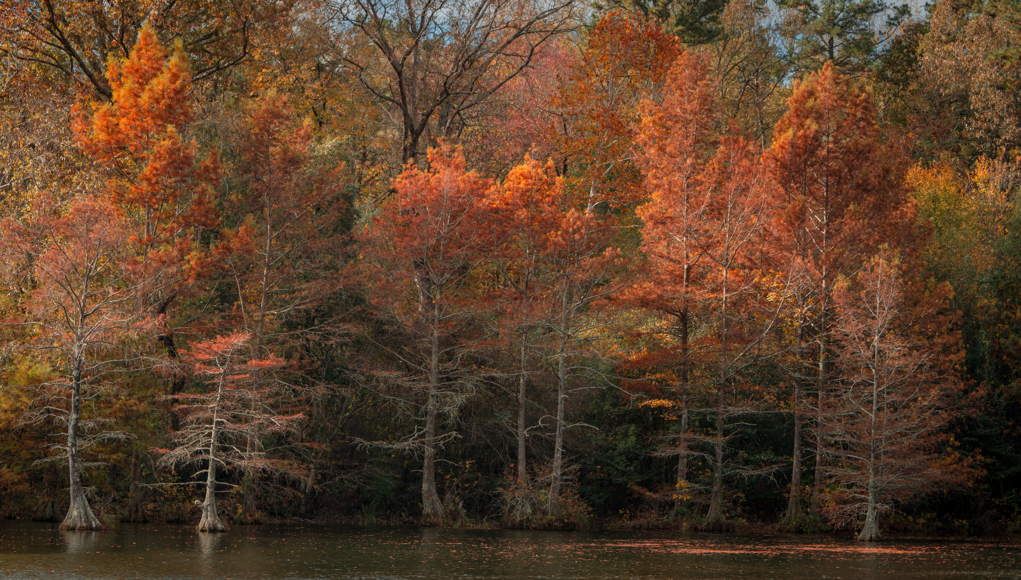 A Fall Drive to Talimena — Beaver's Bend, Oklahoma and The Talimena Drive