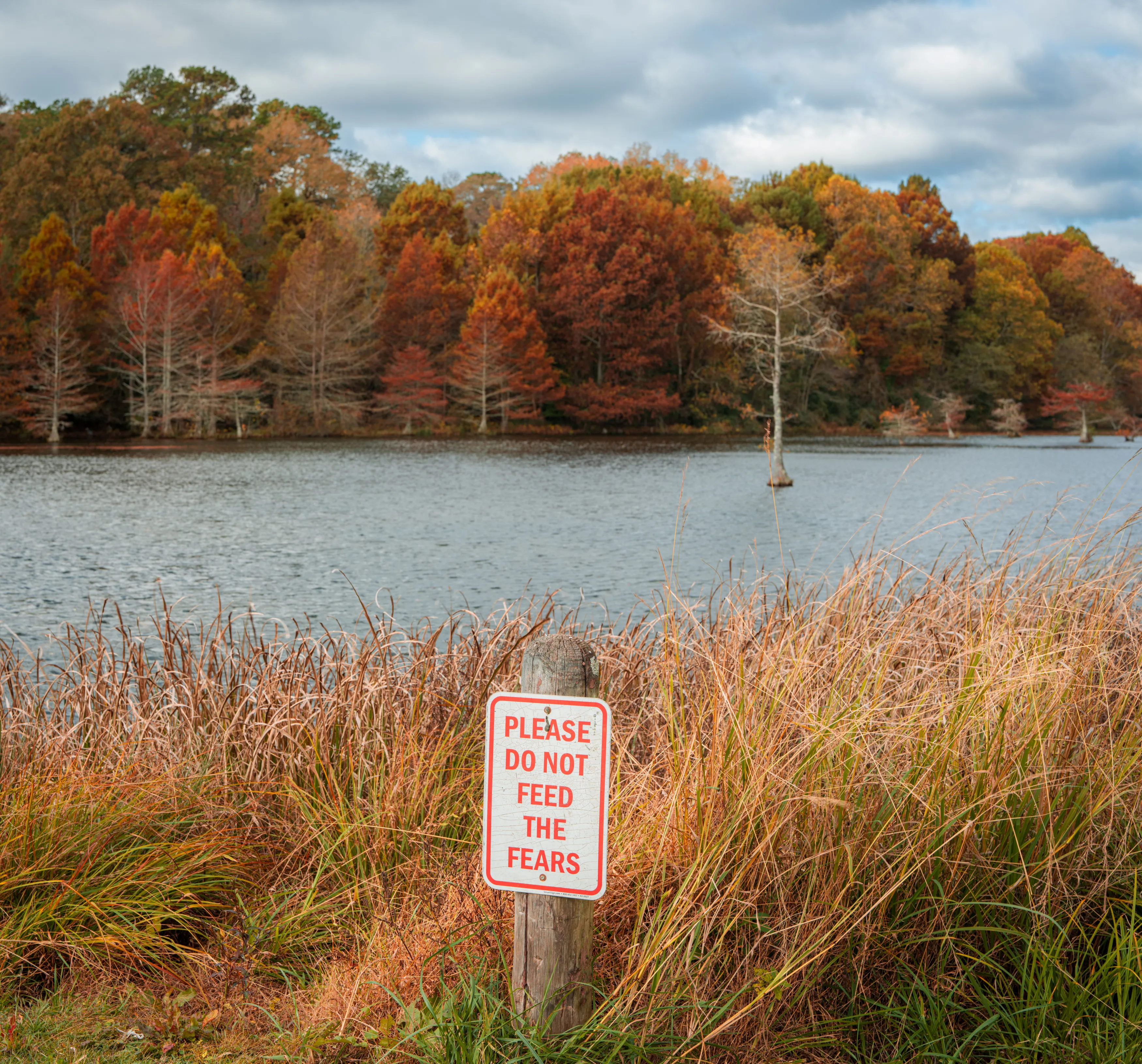 A Fall Drive to Talimena — Beaver's Bend, Oklahoma and The Talimena Drive