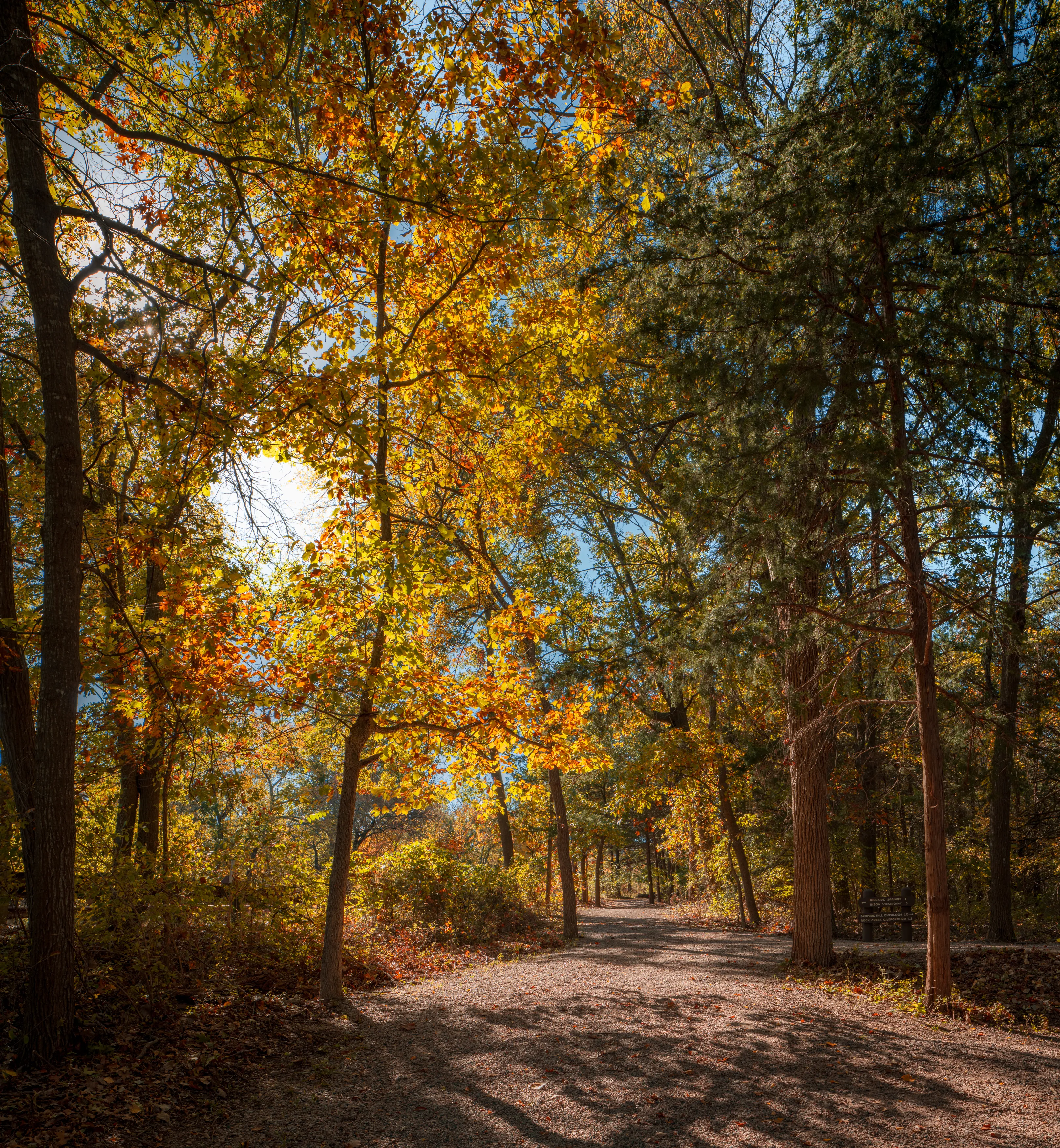 A Fall Drive to Talimena — Beaver's Bend, Oklahoma and The Talimena Drive