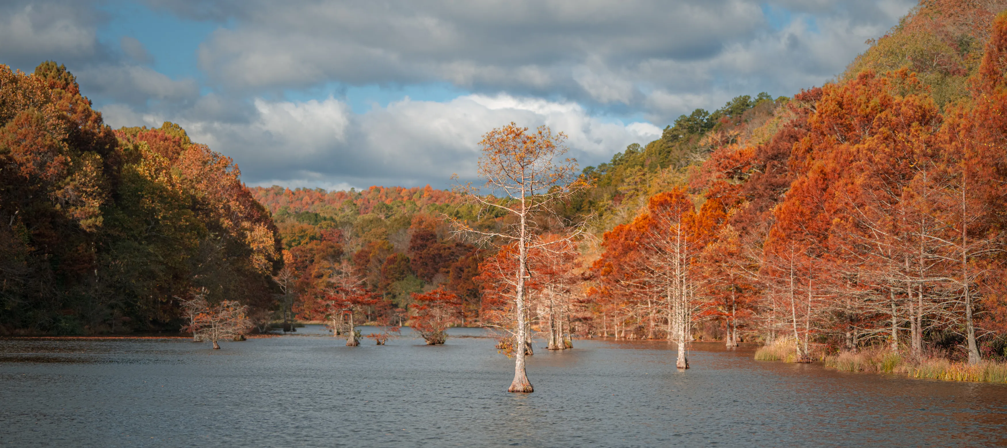 A Fall Drive to Talimena — Beaver's Bend, Oklahoma and The Talimena Drive