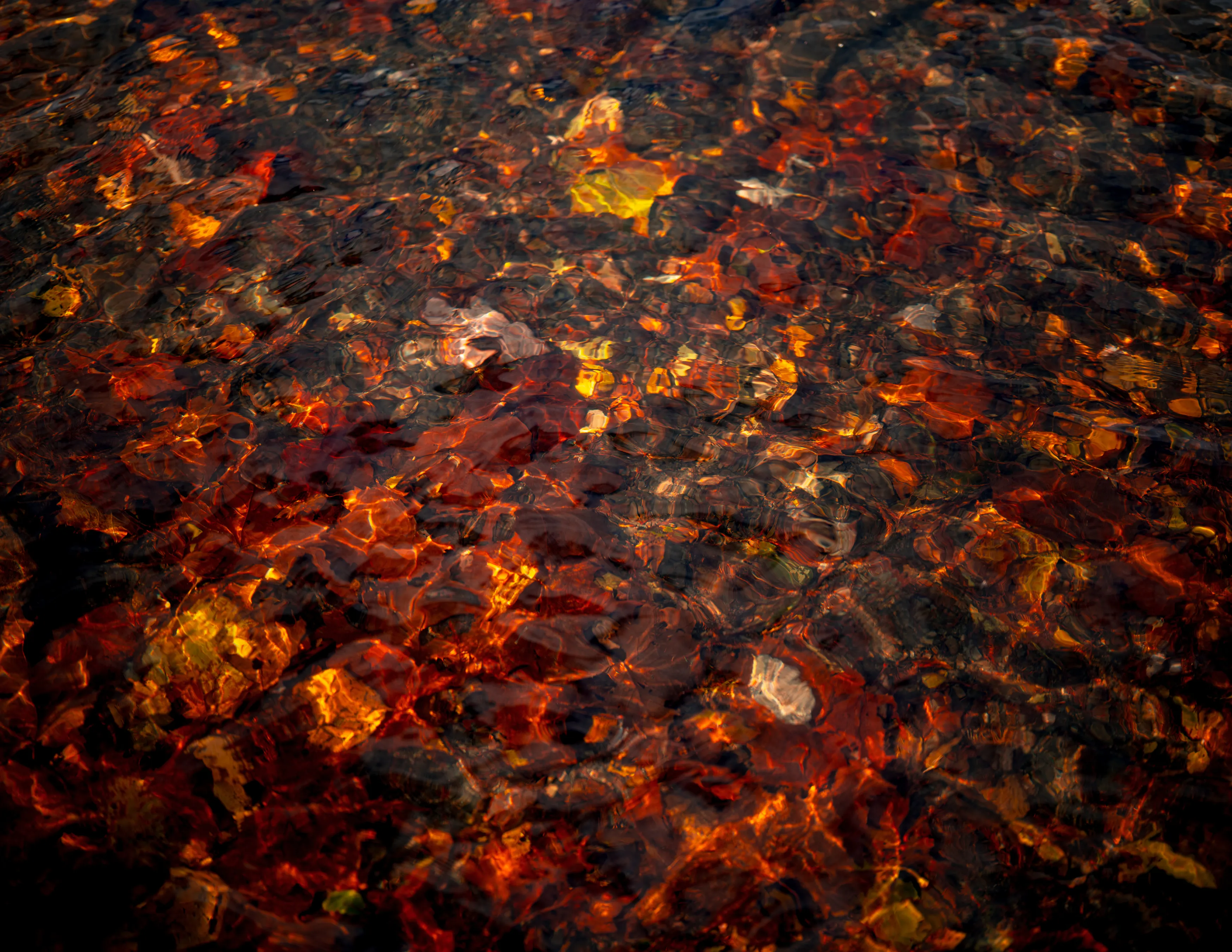 A Fall Drive to Talimena — Beaver's Bend, Oklahoma and The Talimena Drive