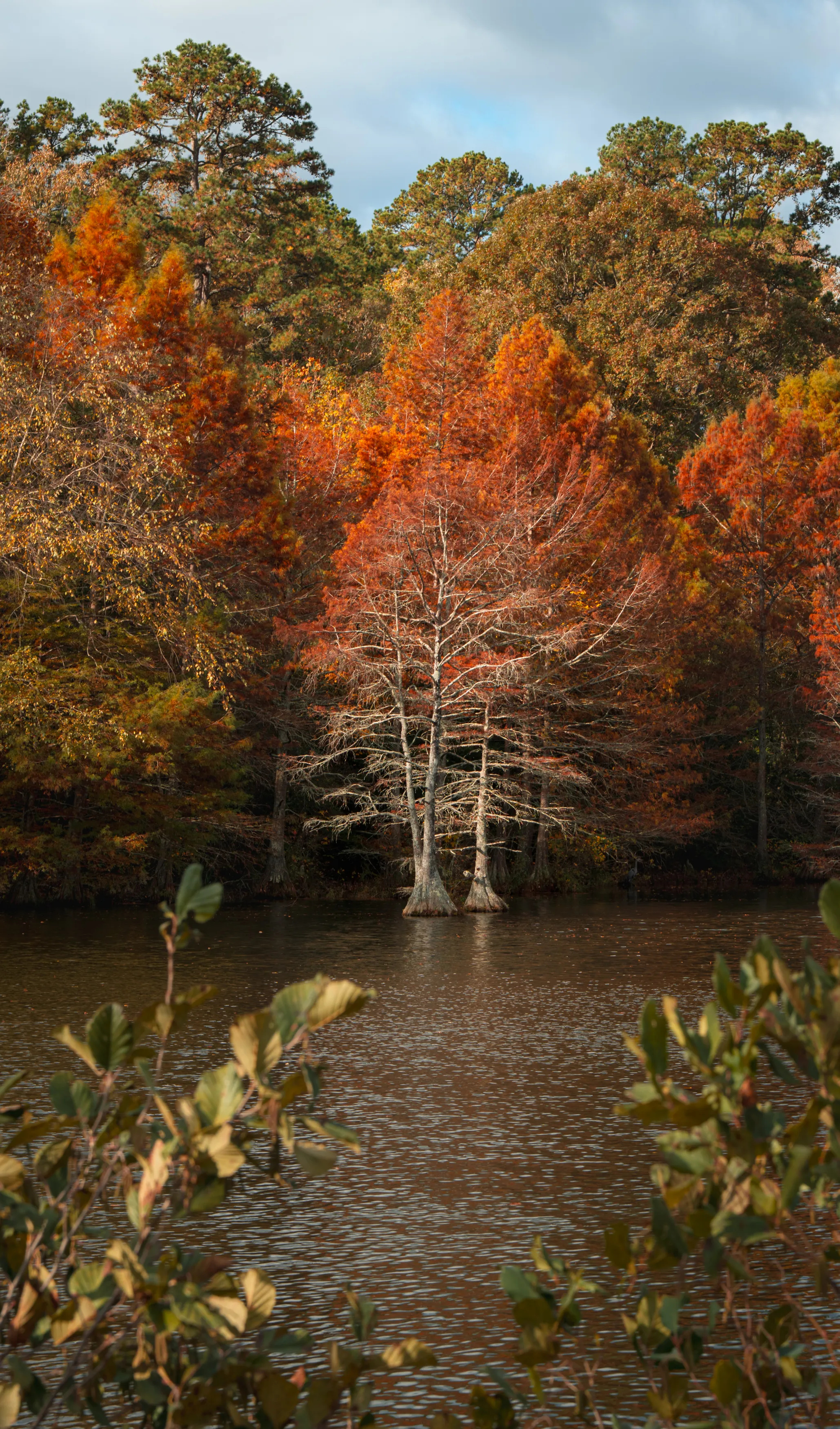 A Fall Drive to Talimena — Beaver's Bend, Oklahoma and The Talimena Drive
