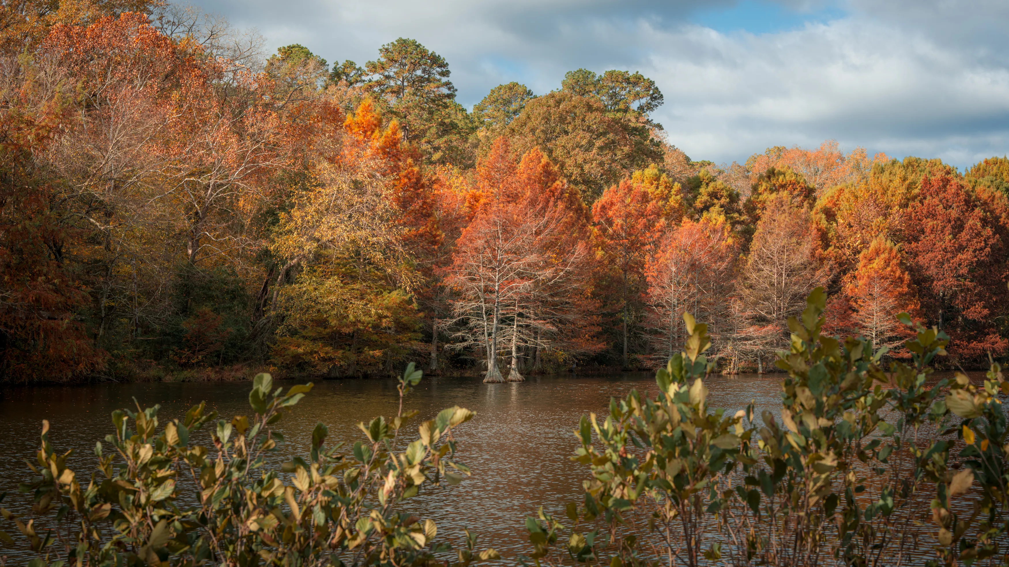 A Fall Drive to Talimena — Beaver's Bend, Oklahoma and The Talimena Drive