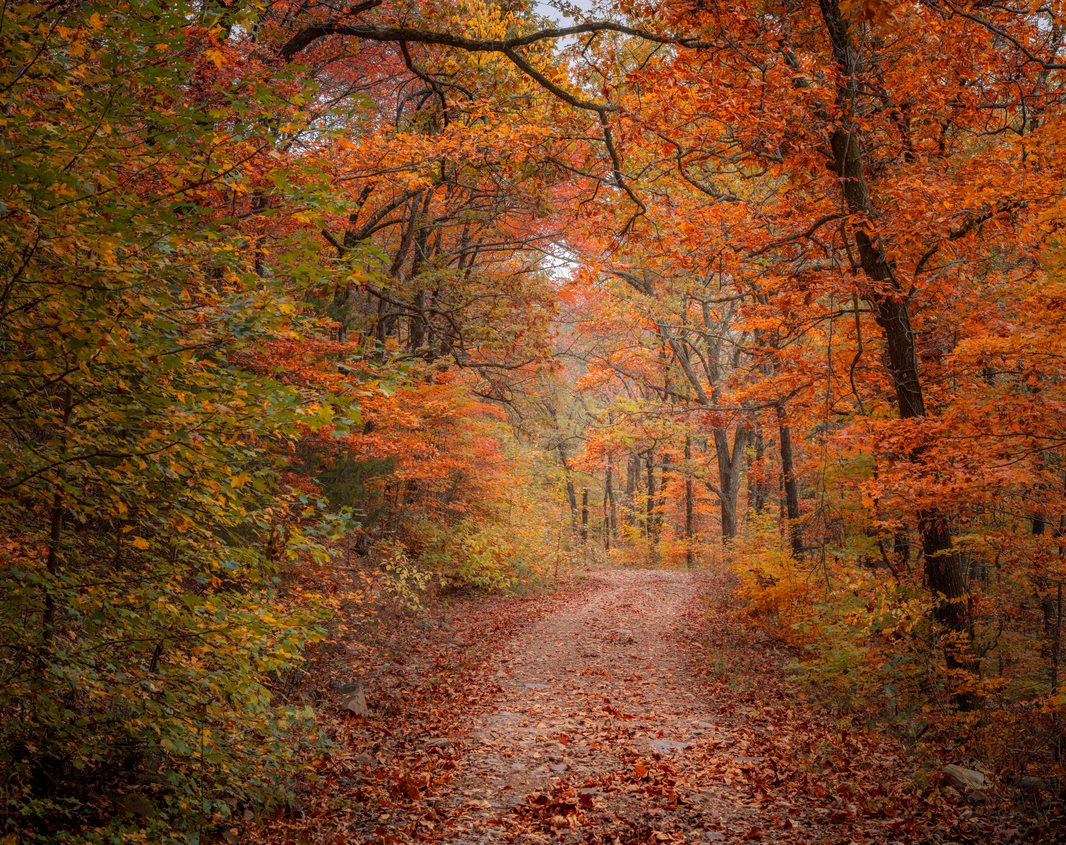 A Fall Drive to Talimena — Beaver's Bend, Oklahoma and The Talimena Drive